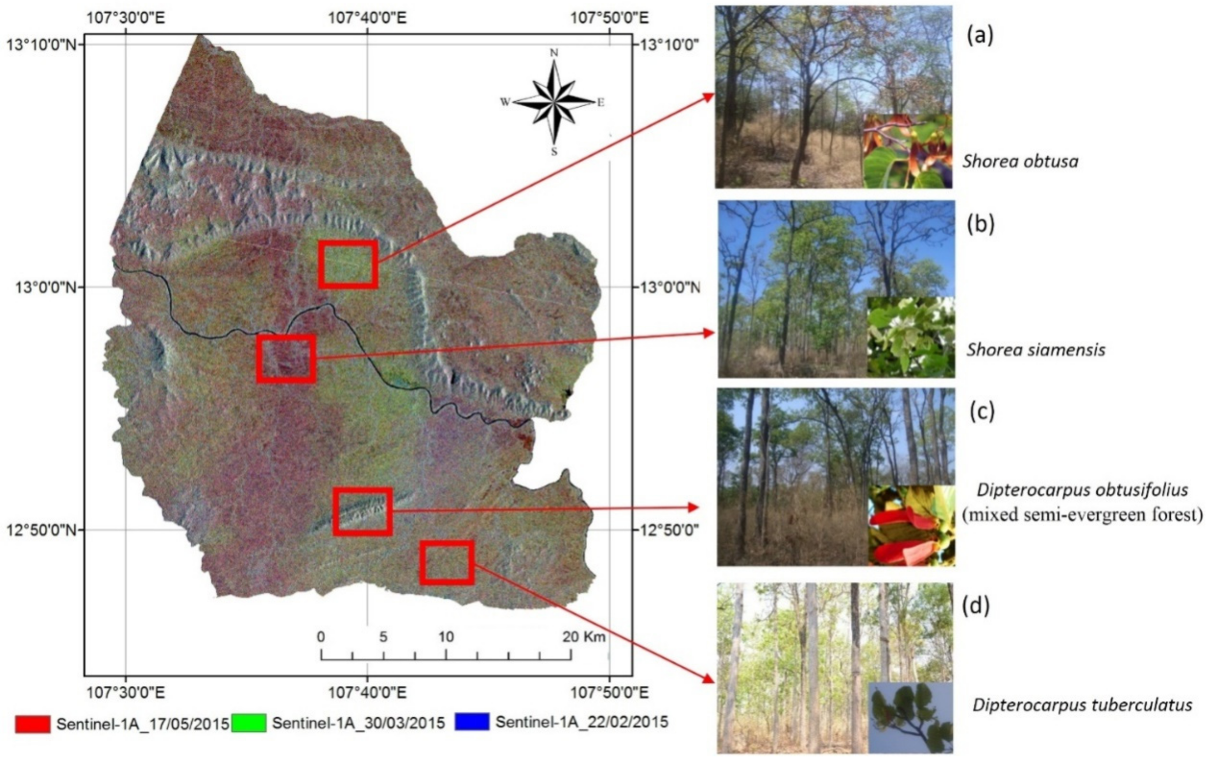 Forests 12 00235 g005