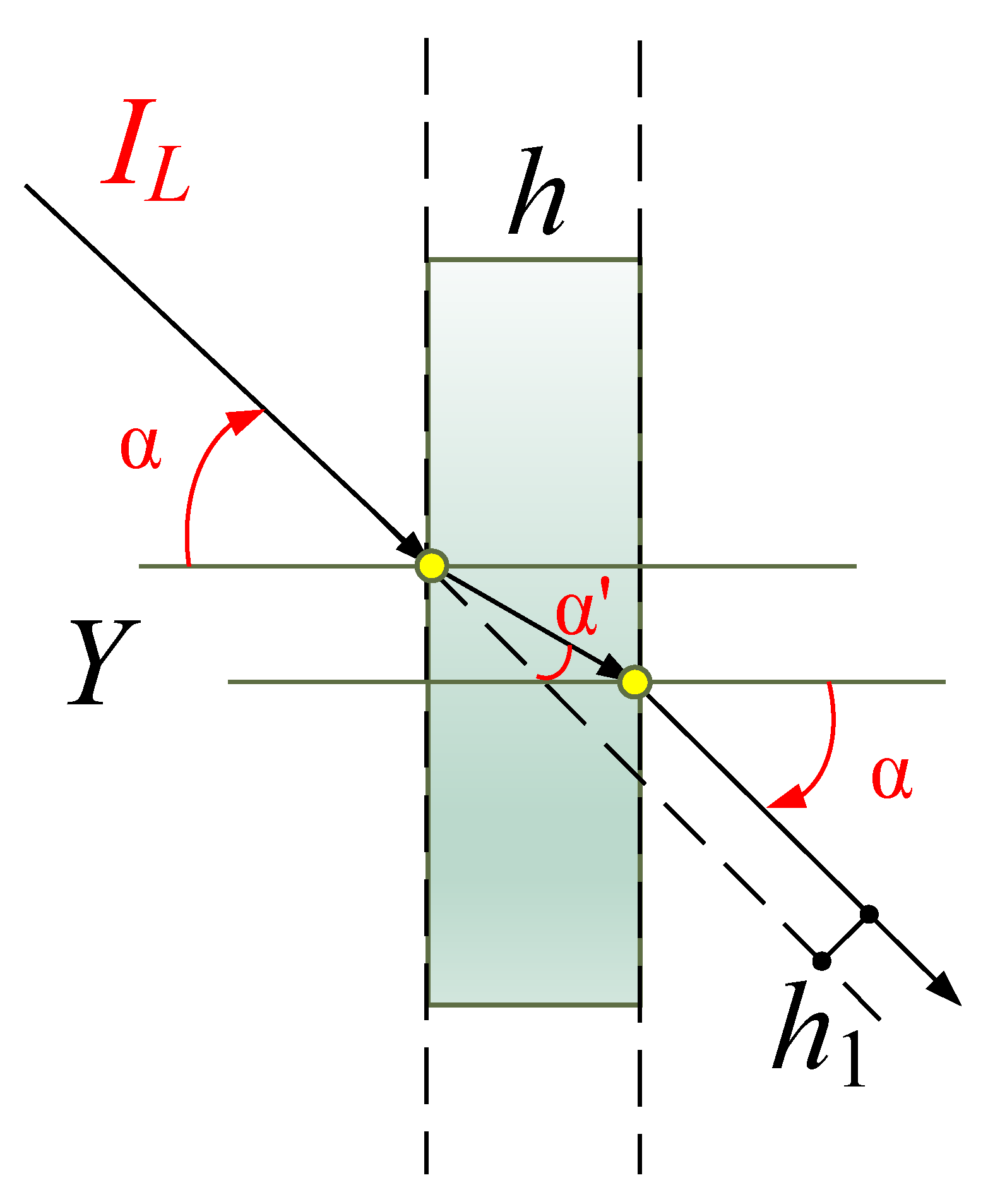 Forests 12 00240 g007 Forests 12 00240 g007