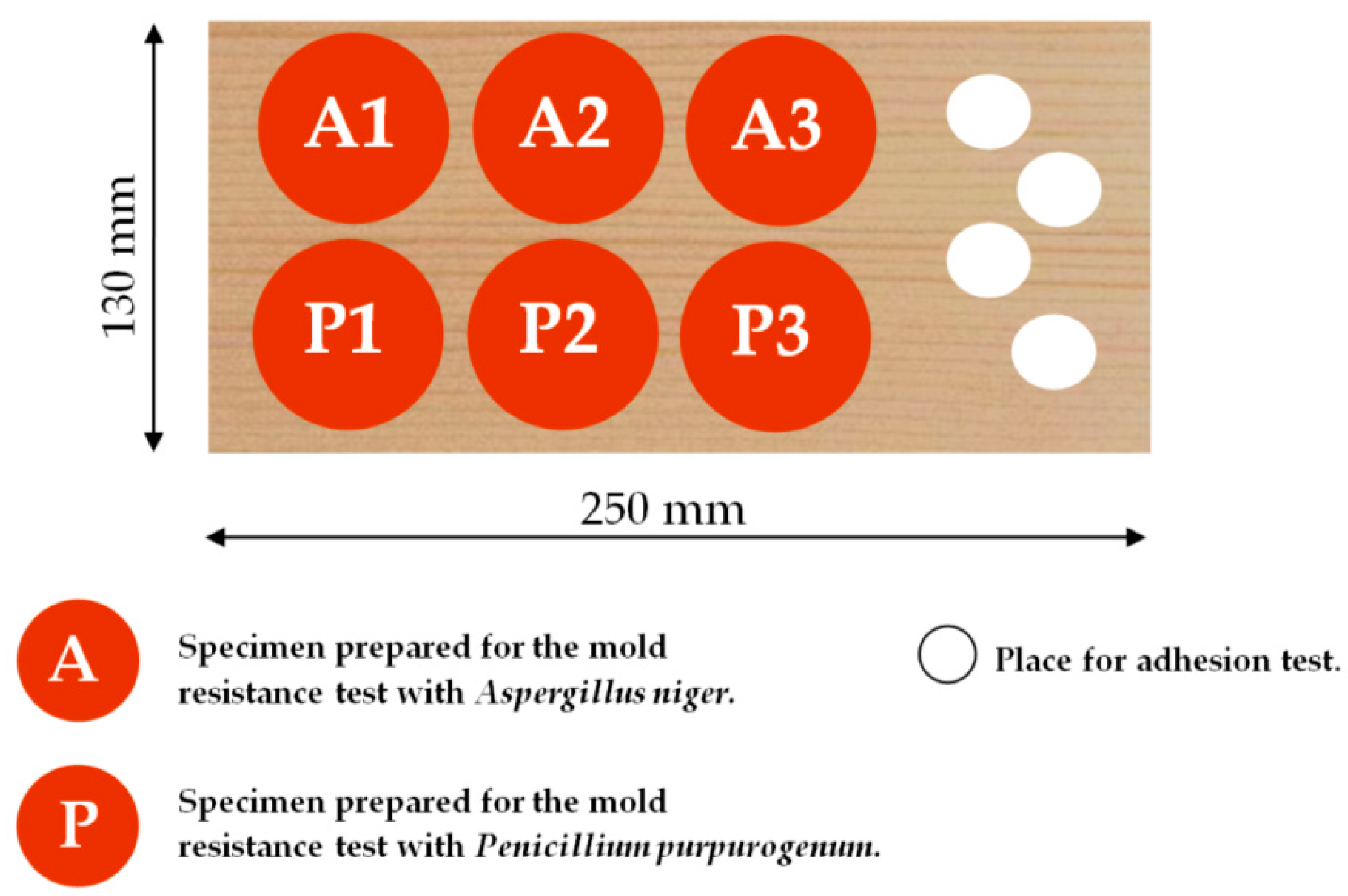 Forests 12 00242 g002 Forests 12 00242 g002