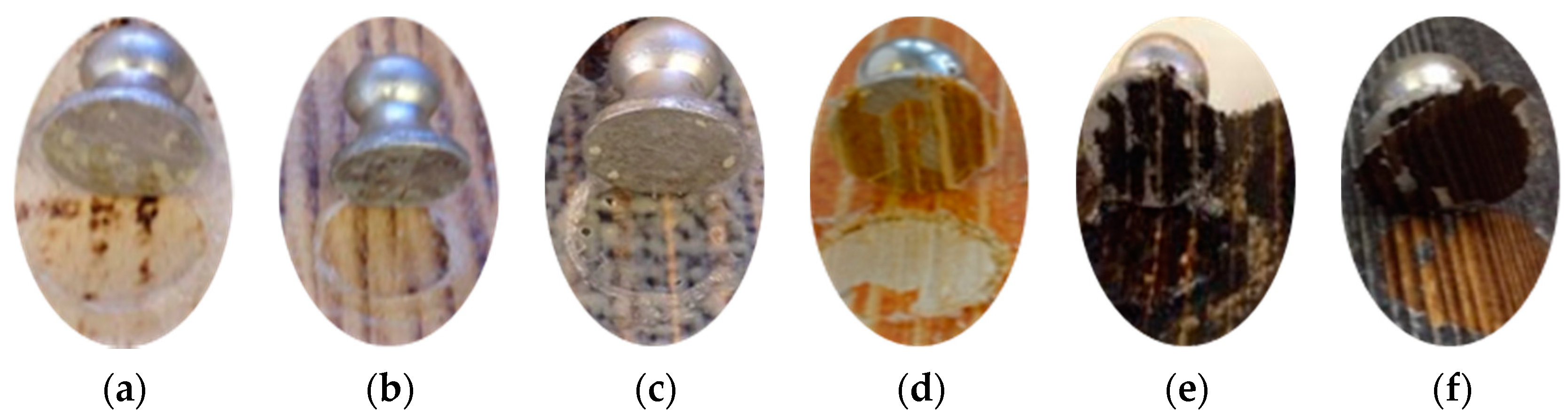 Forests 12 00242 g007 Forests 12 00242 g007