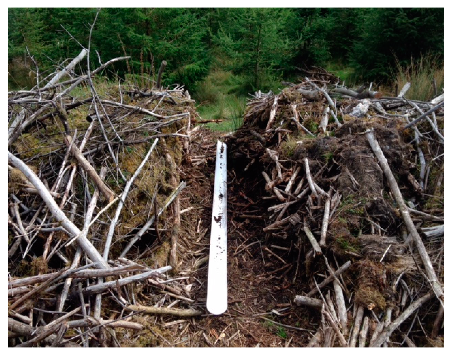 Forests 12 00244 g001b