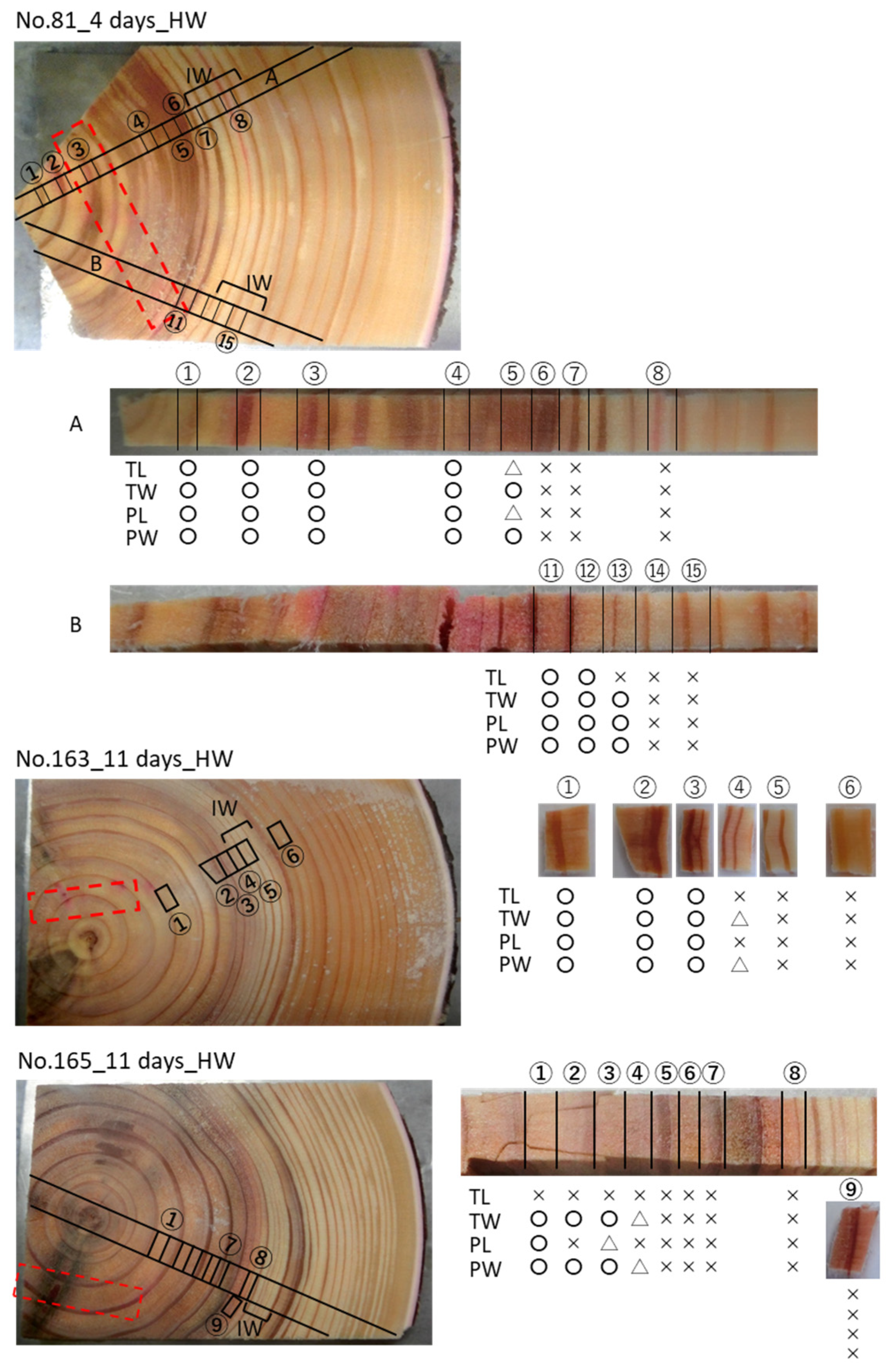 Forests 12 00251 g004a Forests 12 00251 g004a