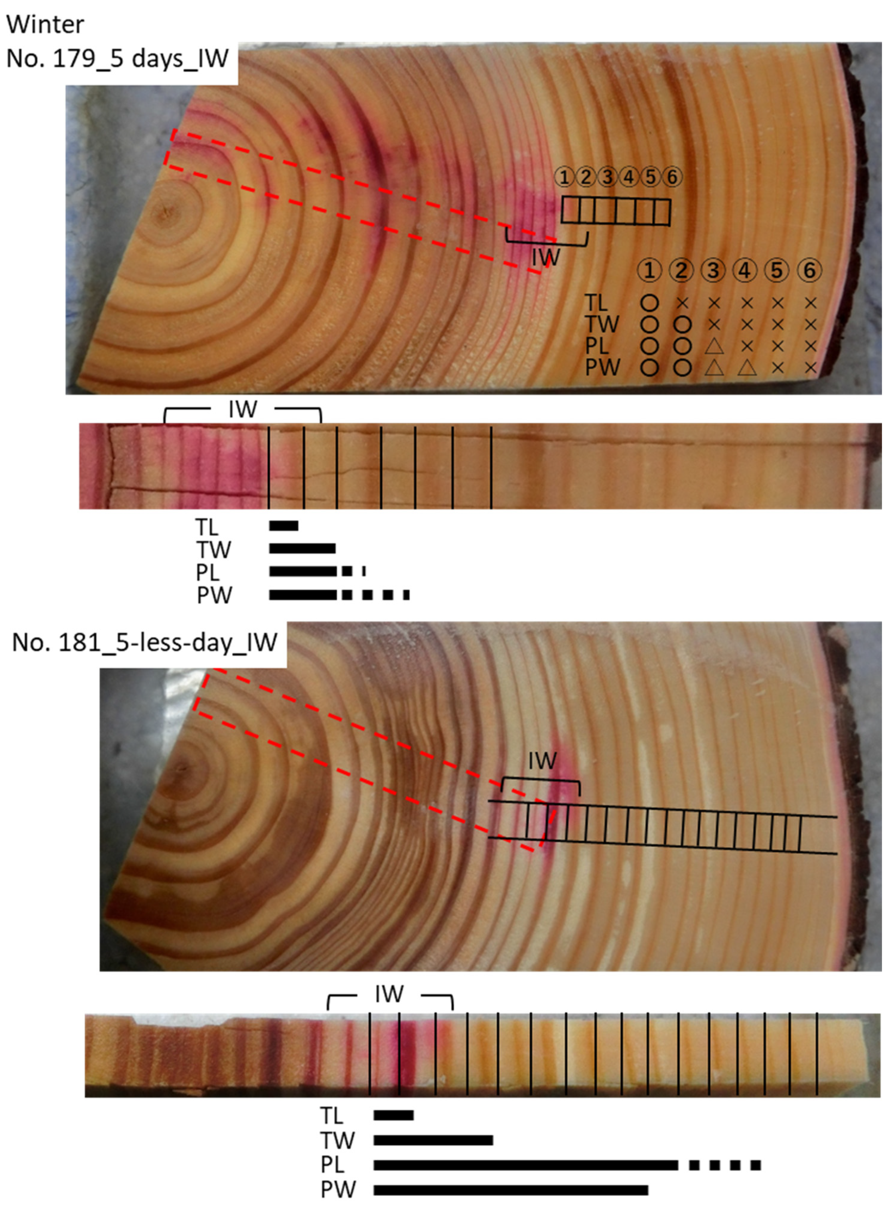 Forests 12 00251 g005 Forests 12 00251 g005