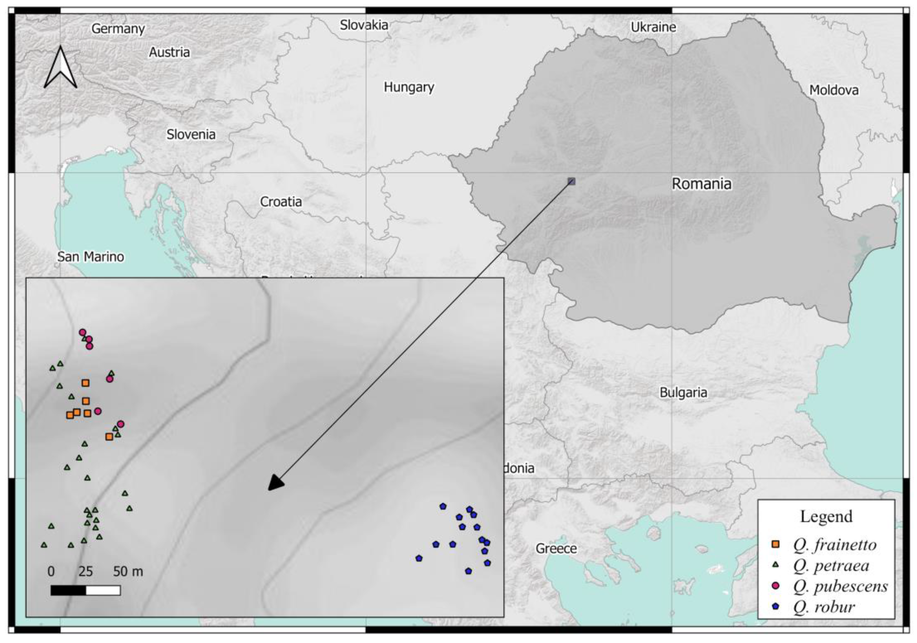 Forests 12 00253 g001 Forests 12 00253 g001