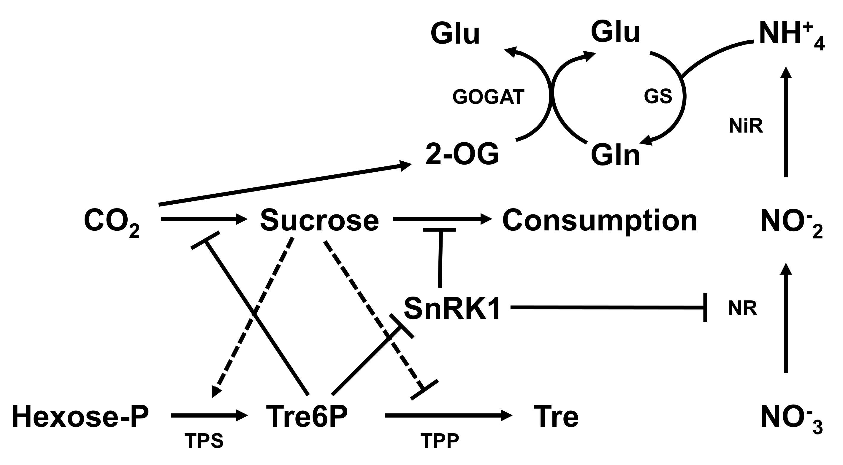 Forests 12 00257 g008 Forests 12 00257 g008