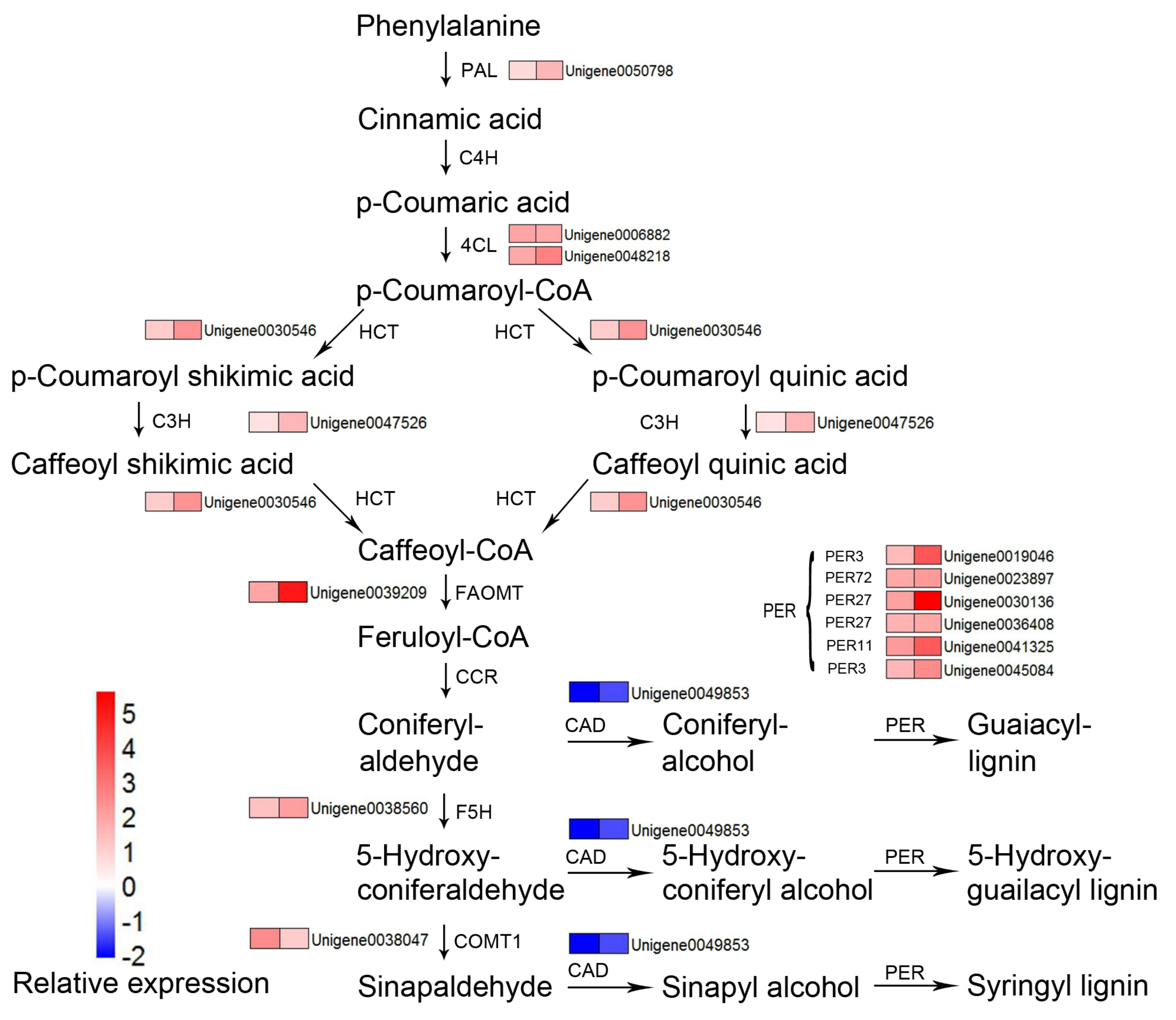 Forests 12 00257 g009 Forests 12 00257 g009