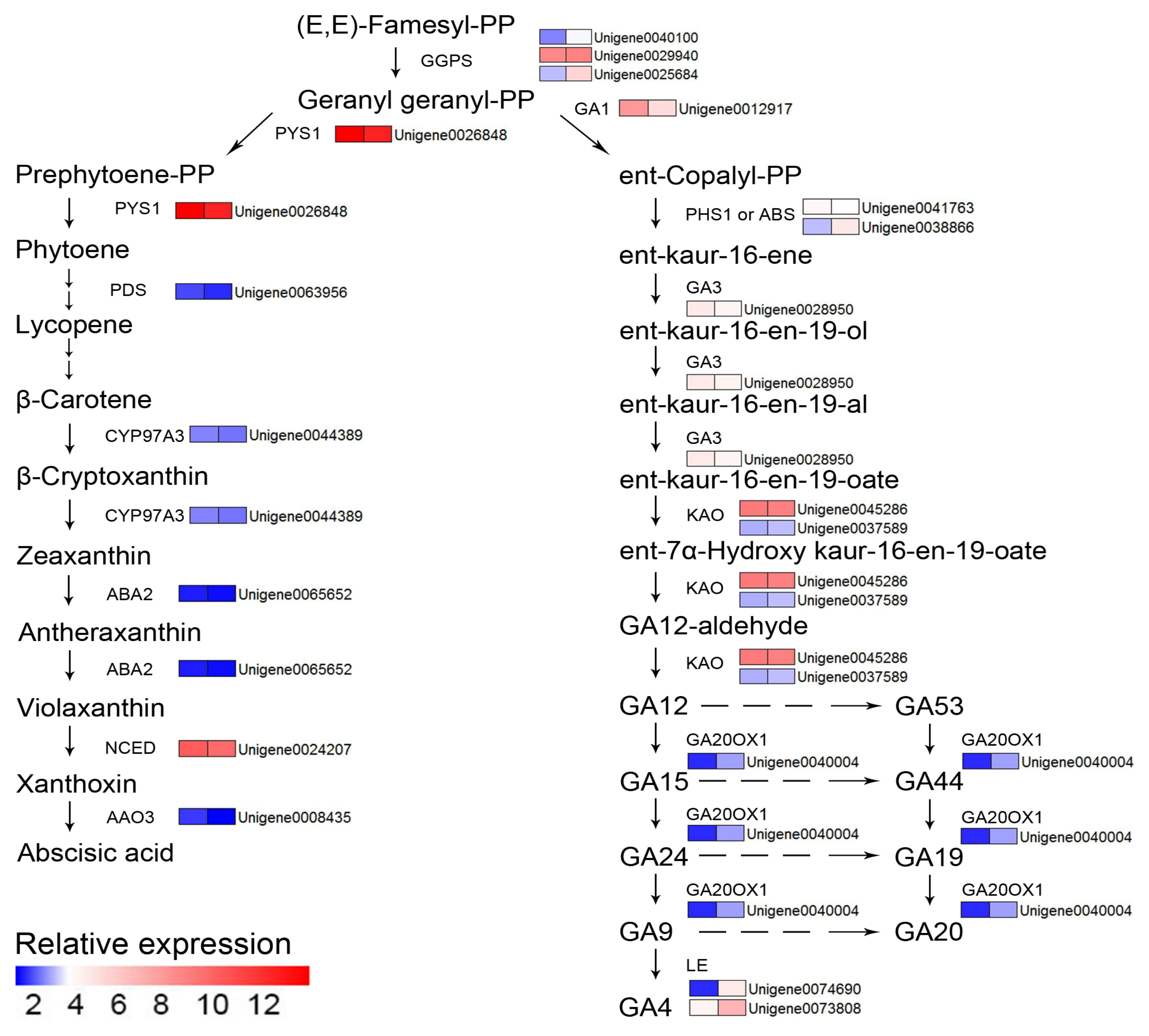 Forests 12 00257 g010 Forests 12 00257 g010