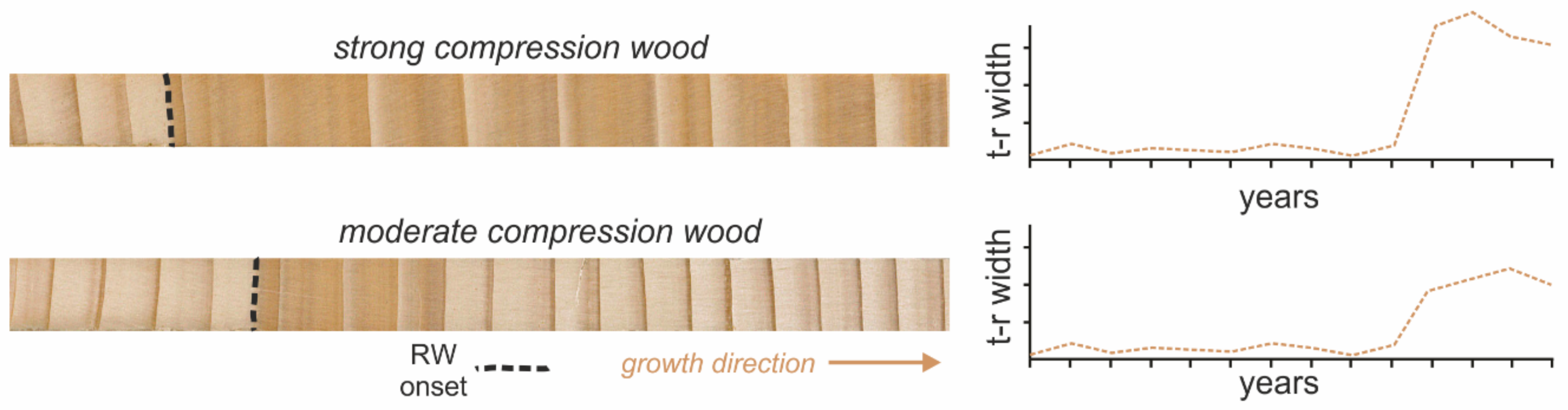 Forests 12 00261 g003 Forests 12 00261 g003