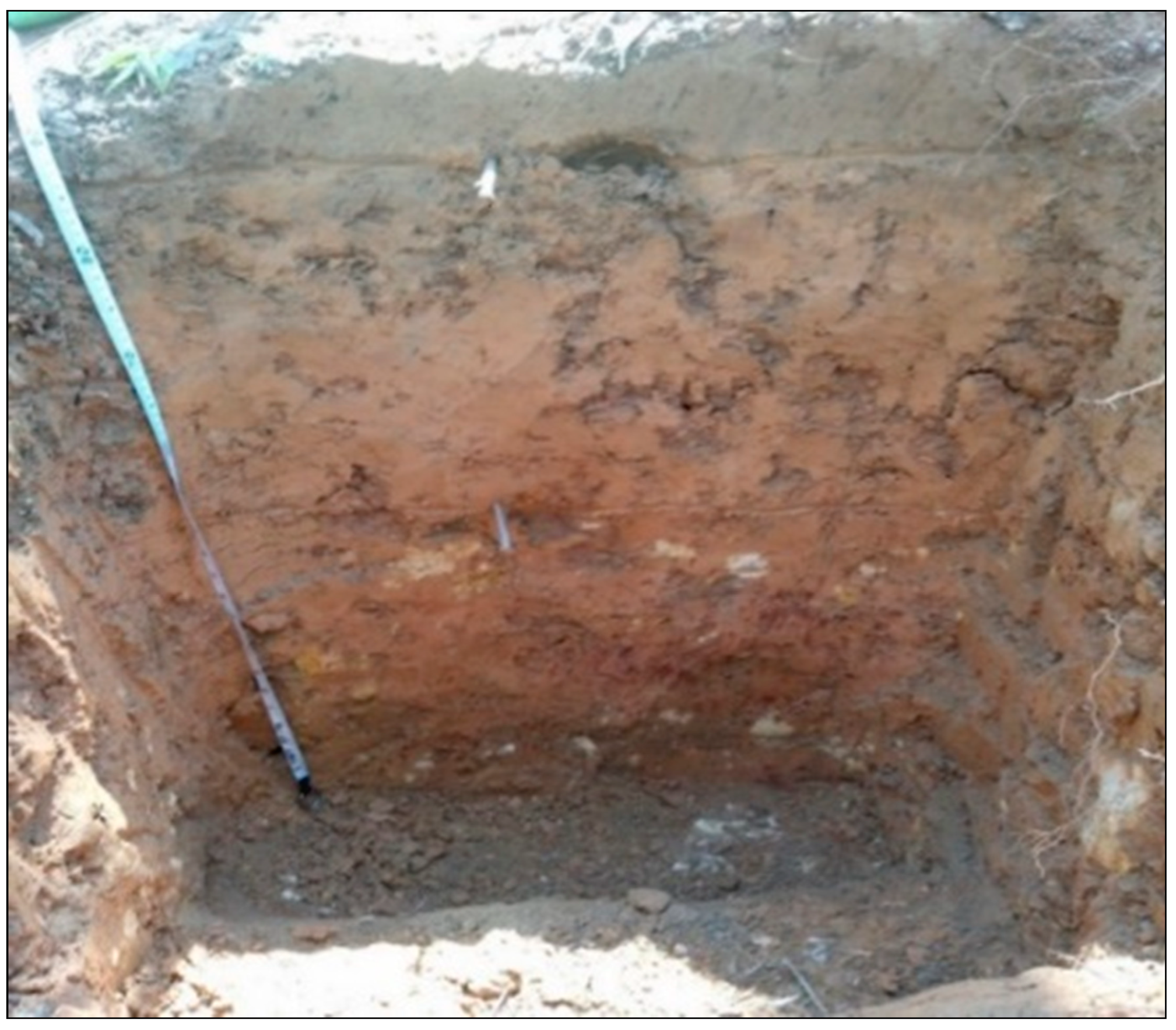 Forests 12 00266 g002