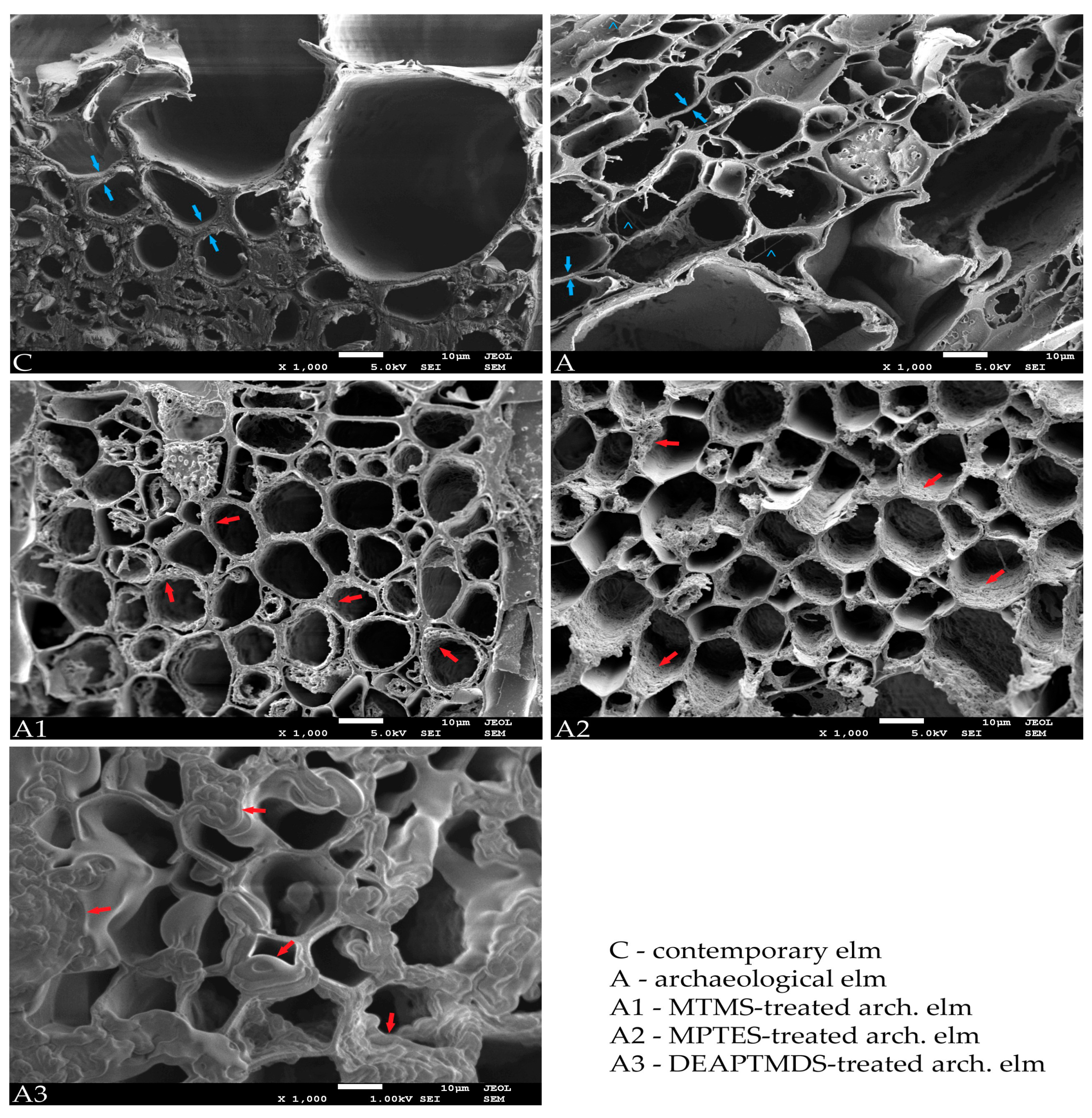 Forests 12 00268 g004 Forests 12 00268 g004