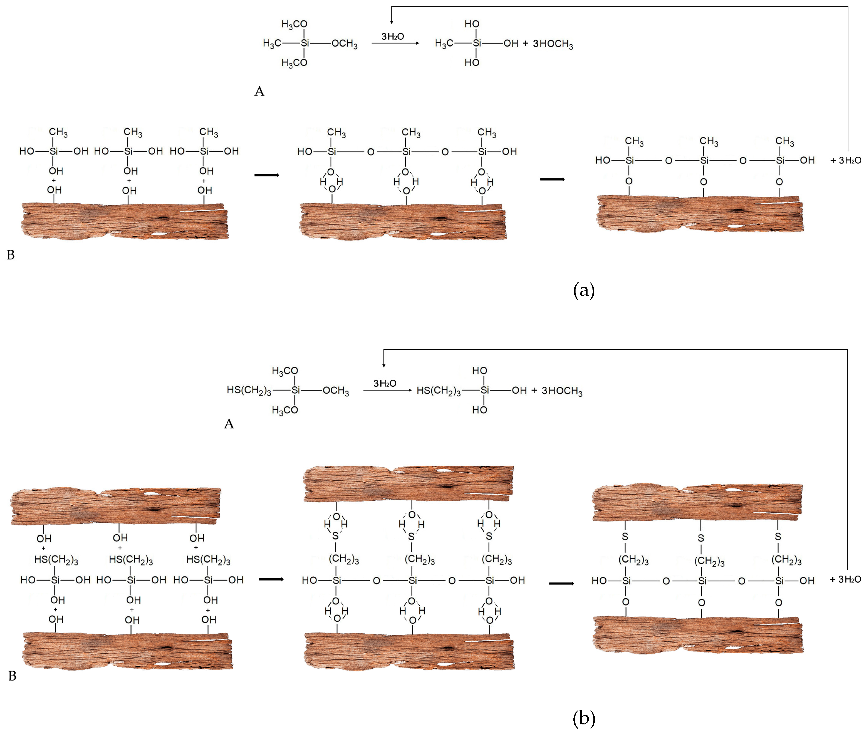 Forests 12 00268 g008a Forests 12 00268 g008a