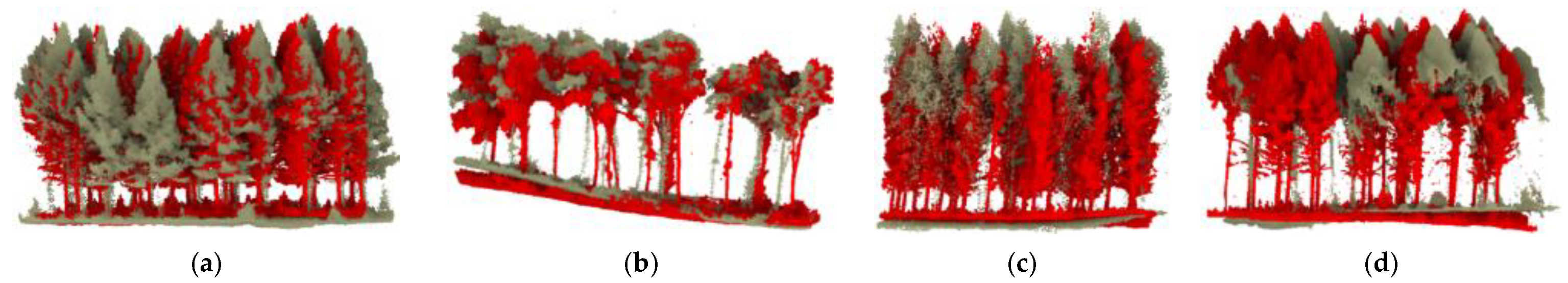 Forests 12 00269 g005