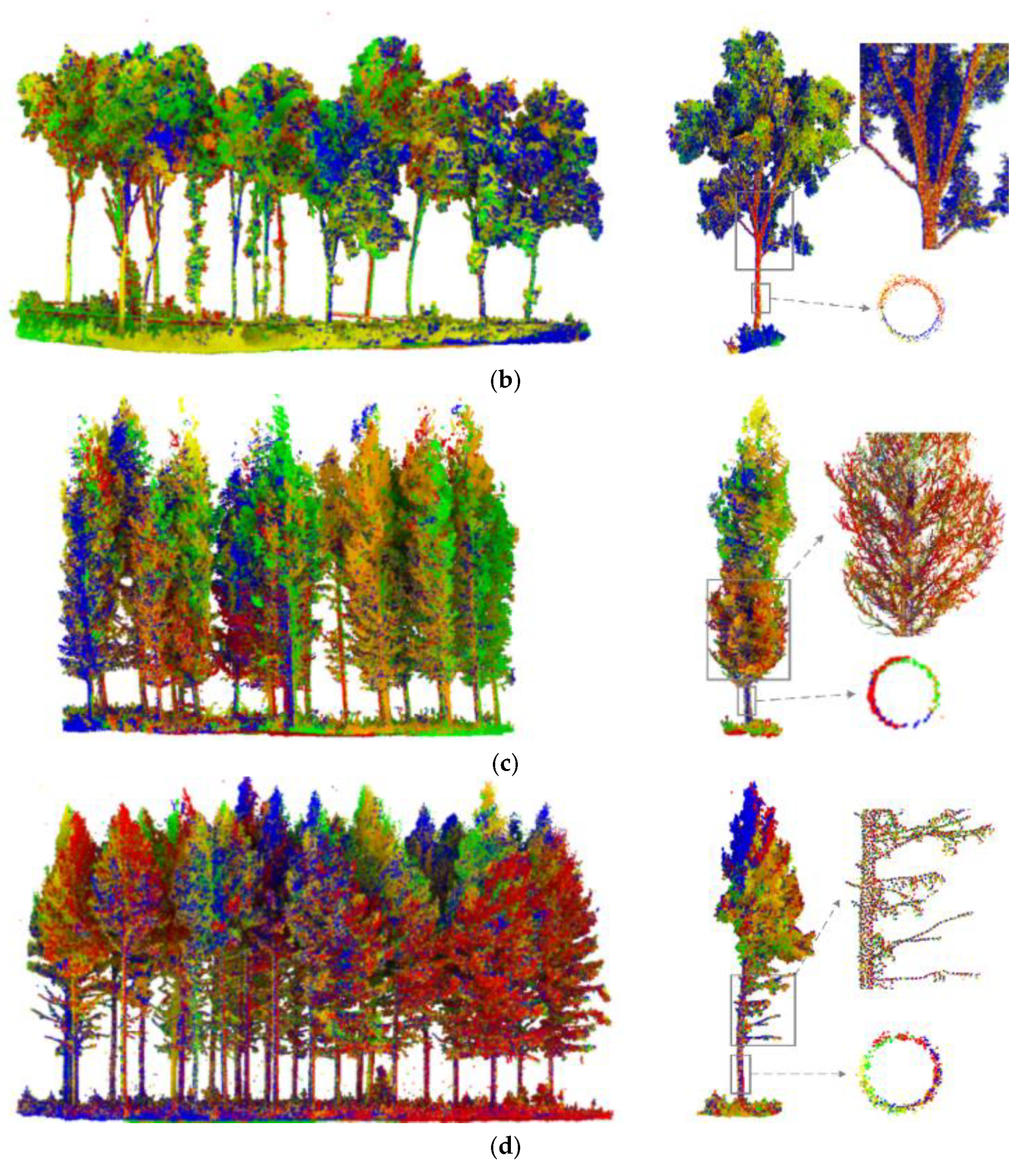Forests 12 00269 g006b