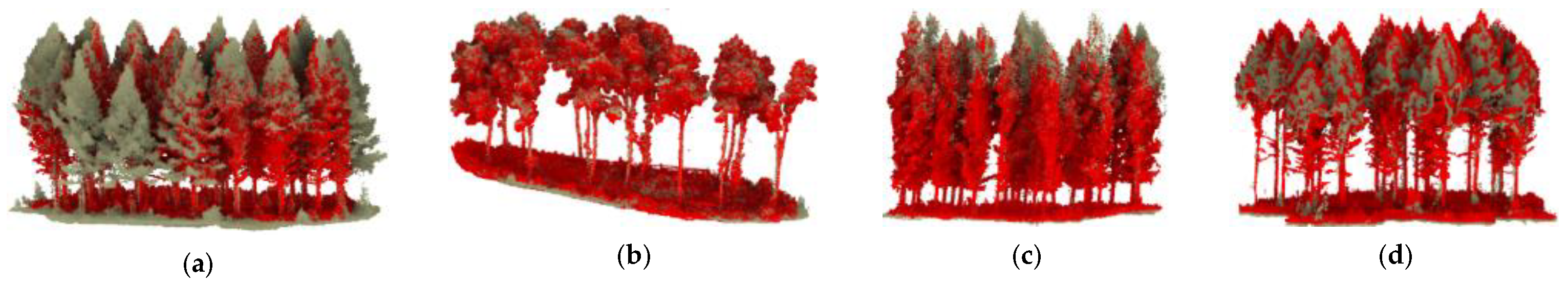 Forests 12 00269 g007