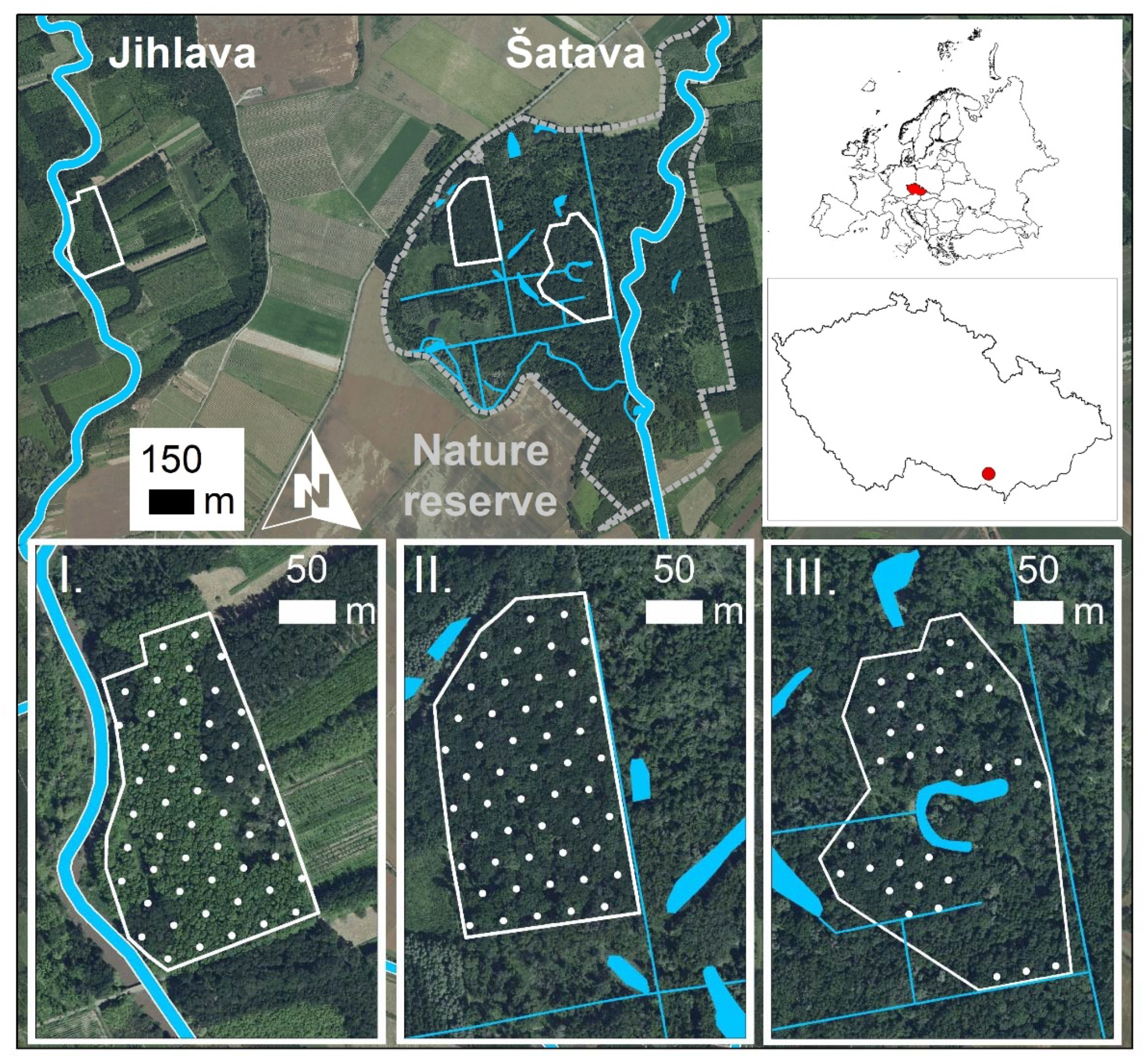 Forests 12 00270 g001