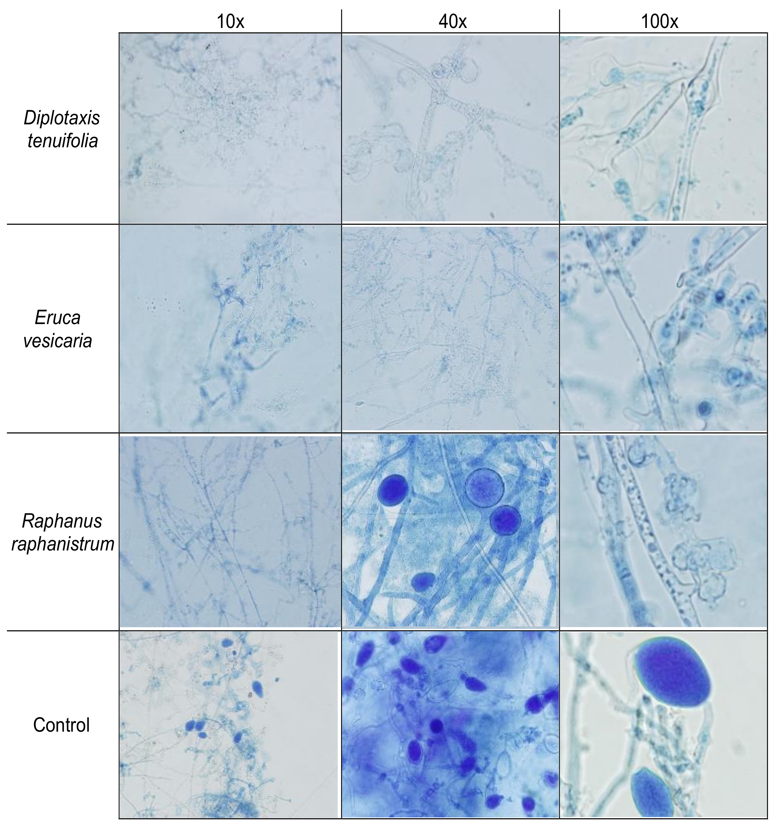 Forests 12 00285 g003