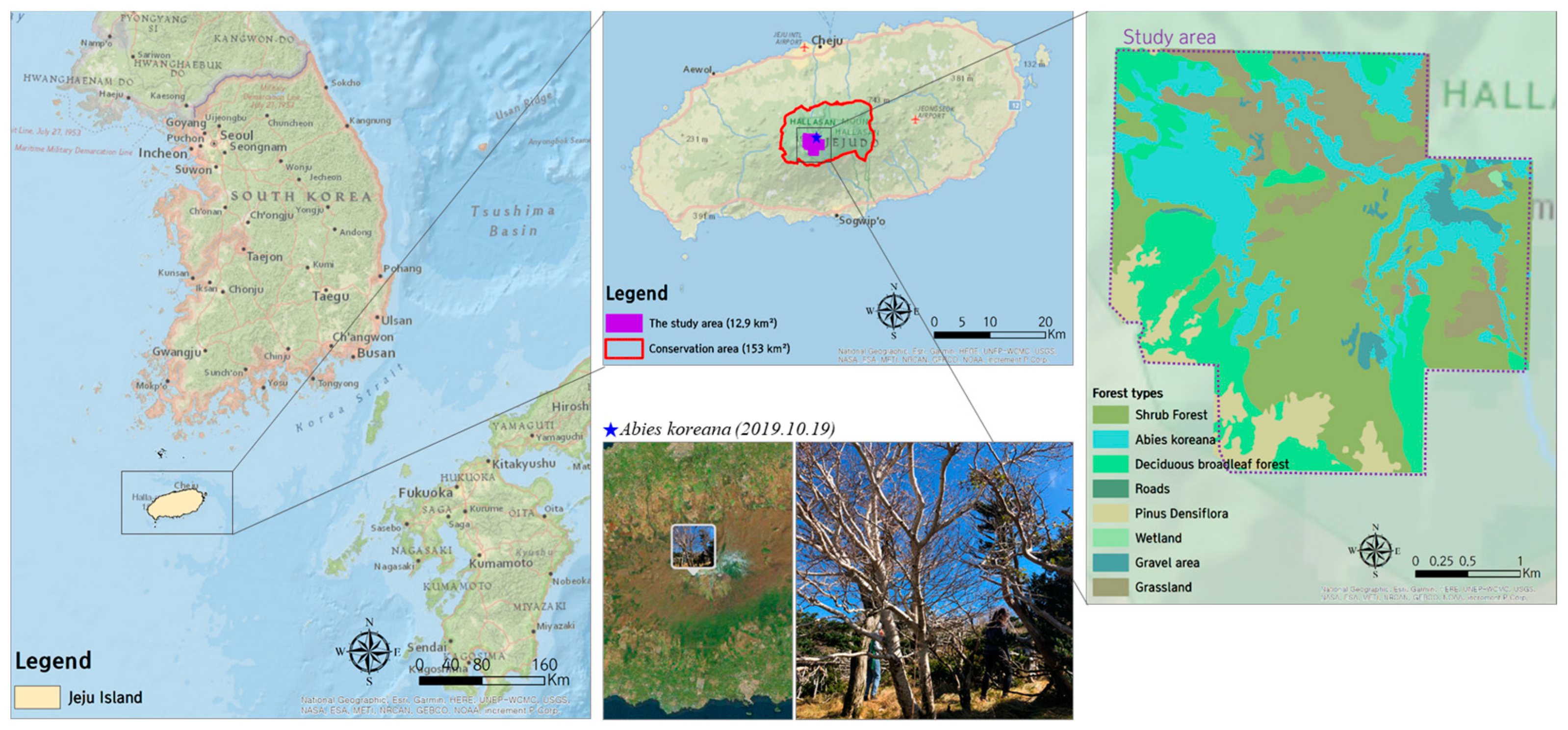 Forests 12 00286 g001 Forests 12 00286 g001