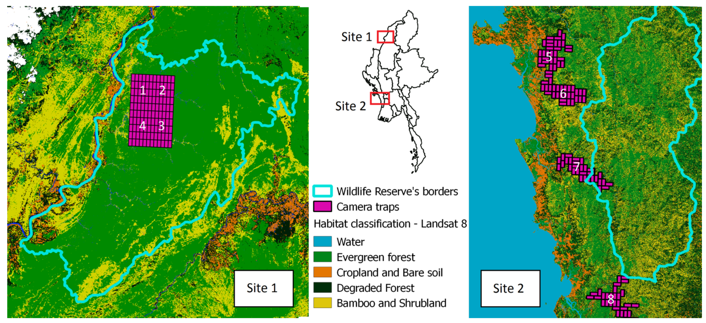 Forests 12 00290 g001 Forests 12 00290 g001
