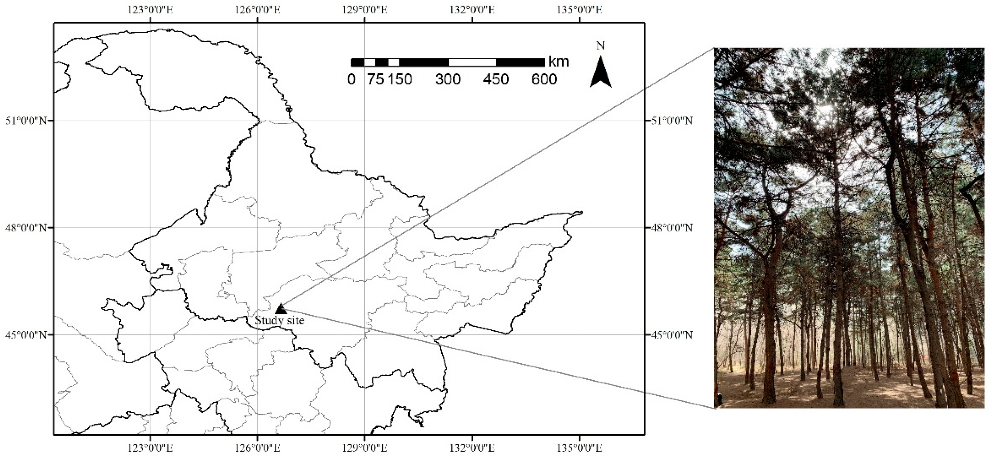 Forests 12 00292 g001 Forests 12 00292 g001