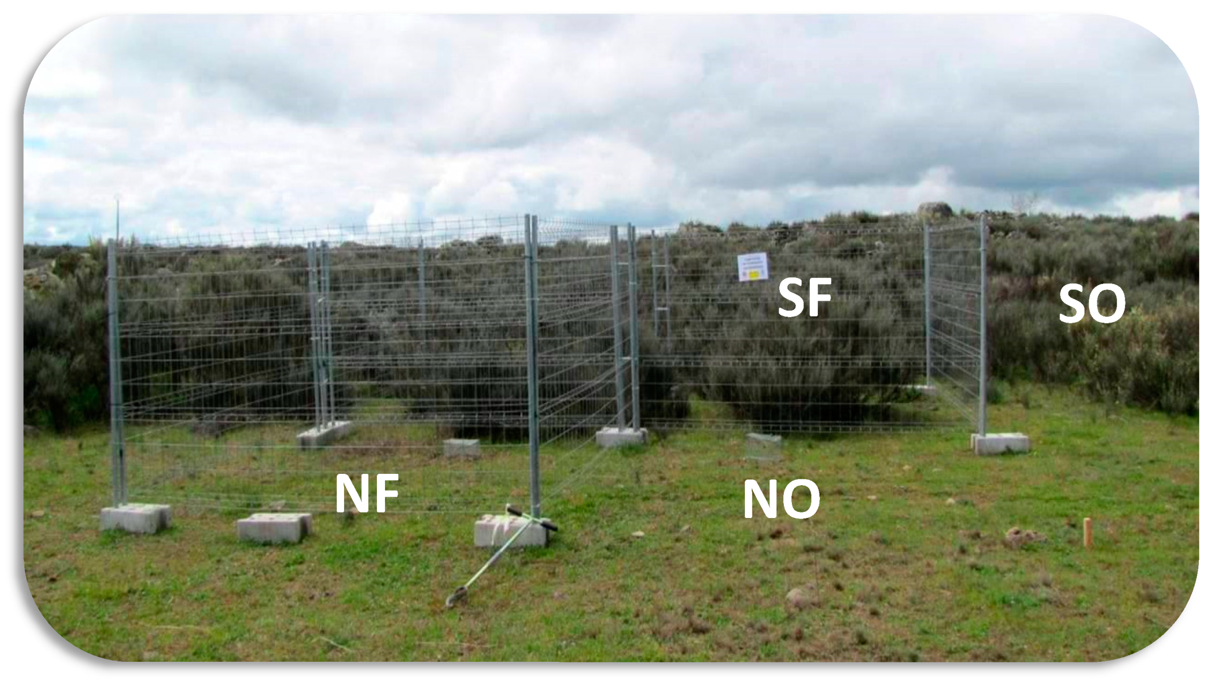 Forests 12 00307 g0a1 Forests 12 00307 g0a1