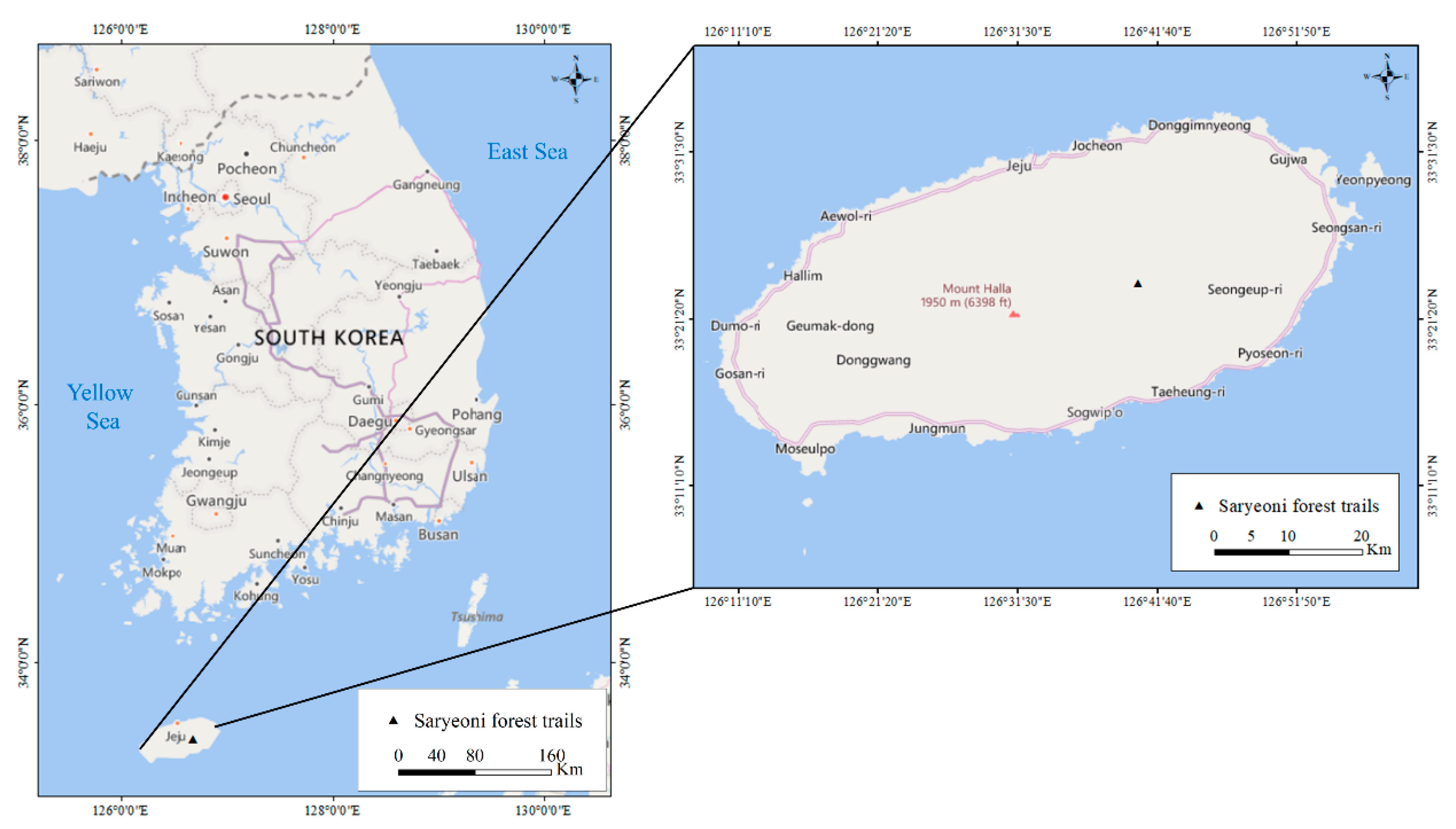 Forests 12 00308 g001