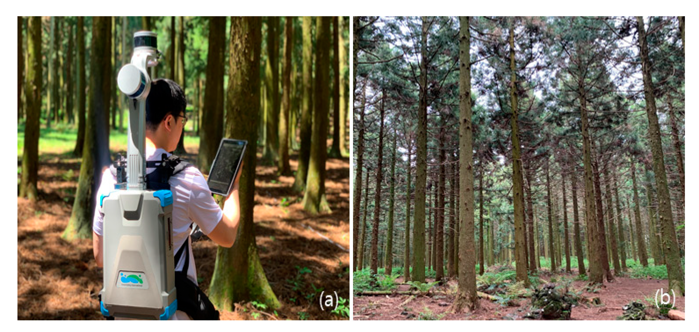 Forests 12 00308 g002