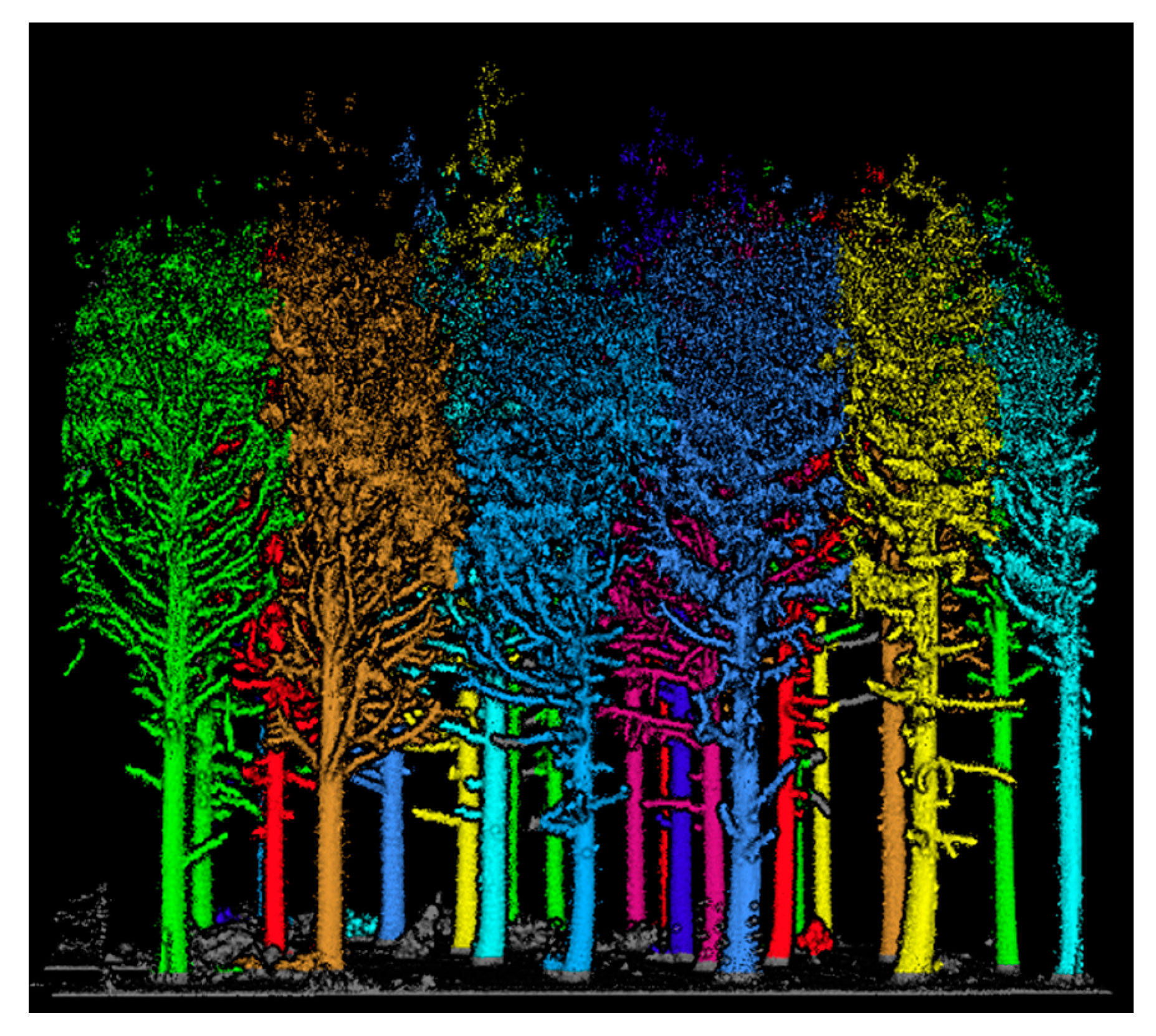 Forests 12 00308 g004
