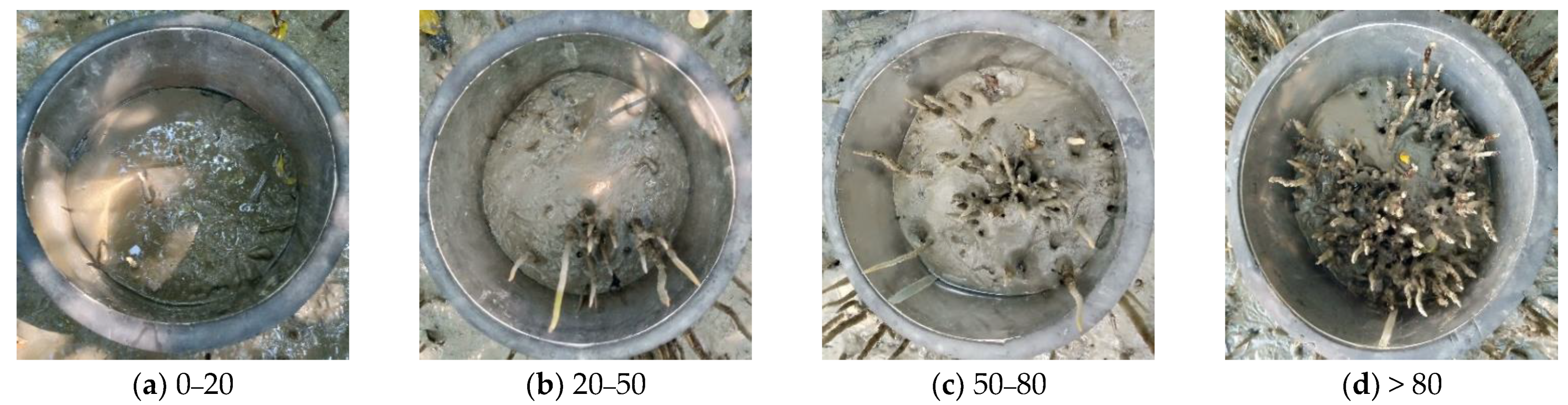 Forests 12 00314 g002 Forests 12 00314 g002