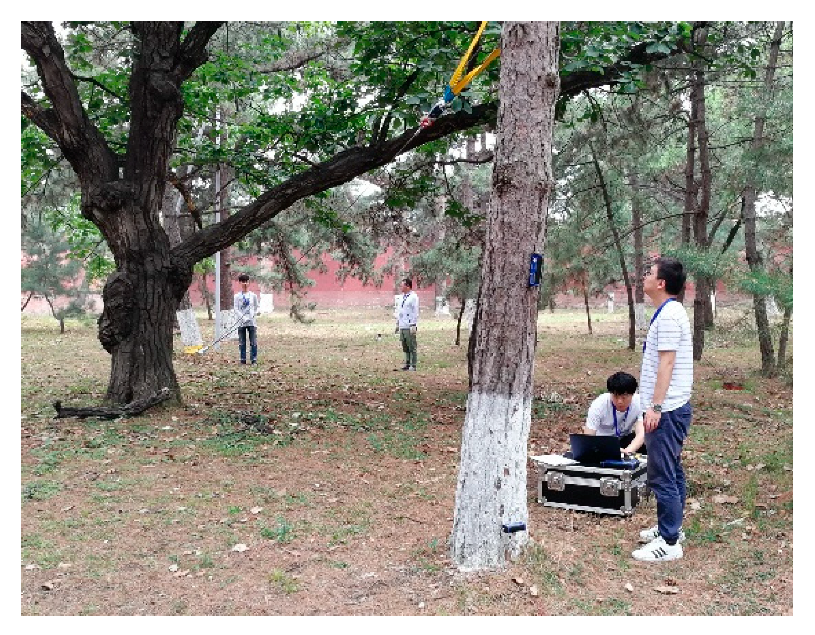 Forests 12 00318 g002