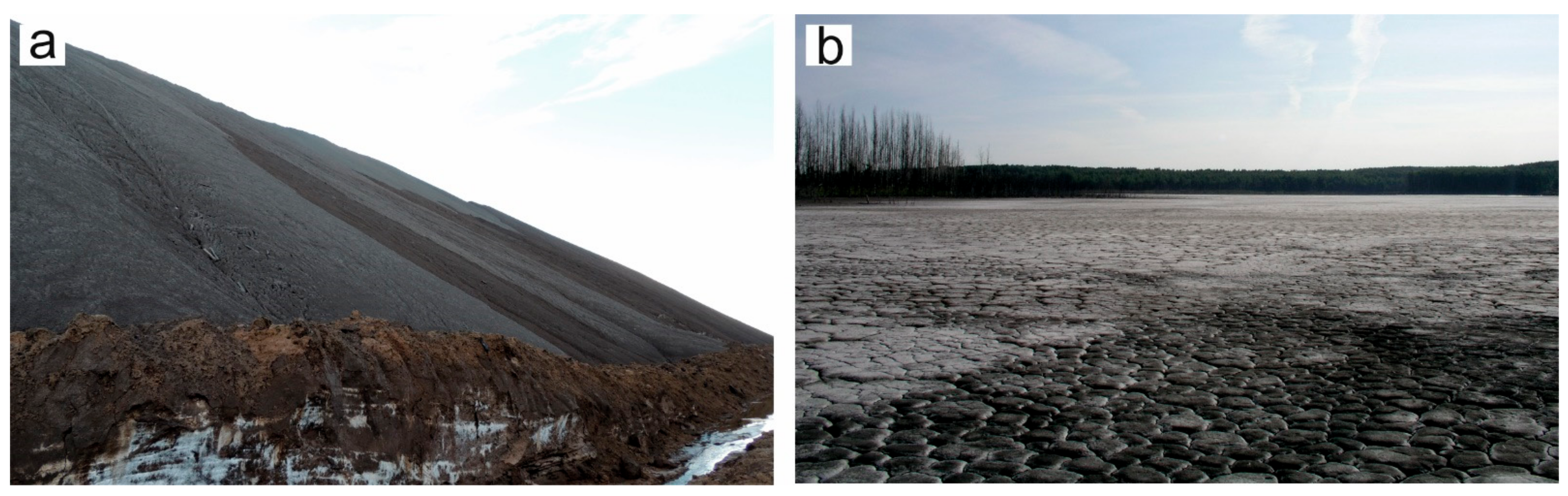 Forests 12 00321 g002 Forests 12 00321 g002