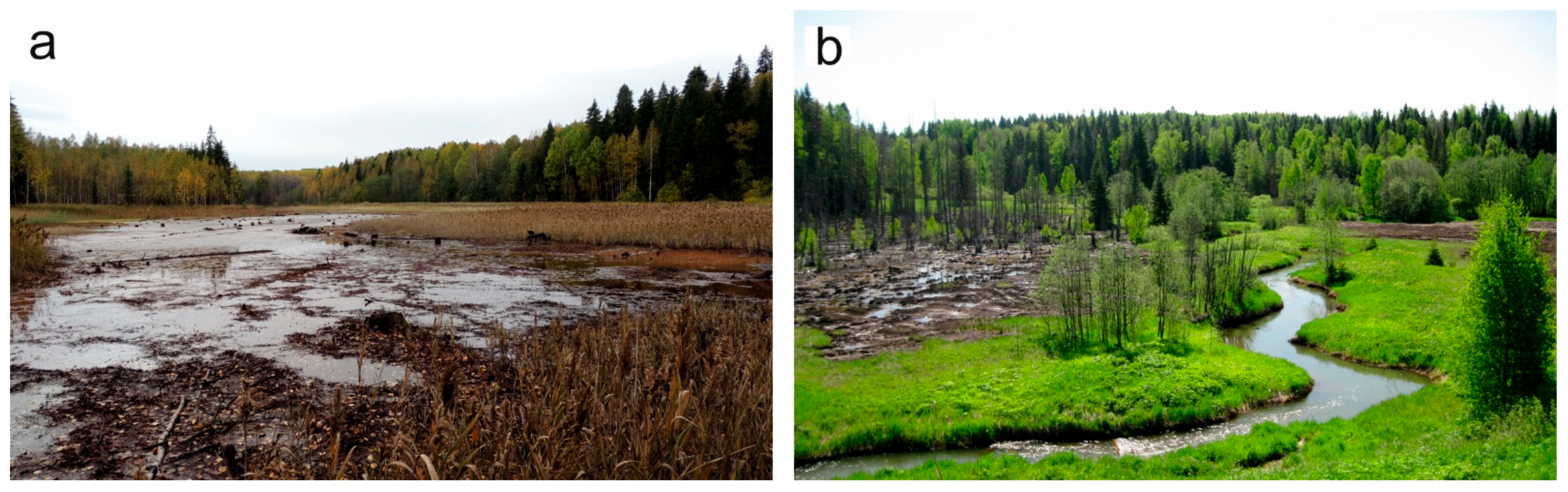 Forests 12 00321 g008 Forests 12 00321 g008