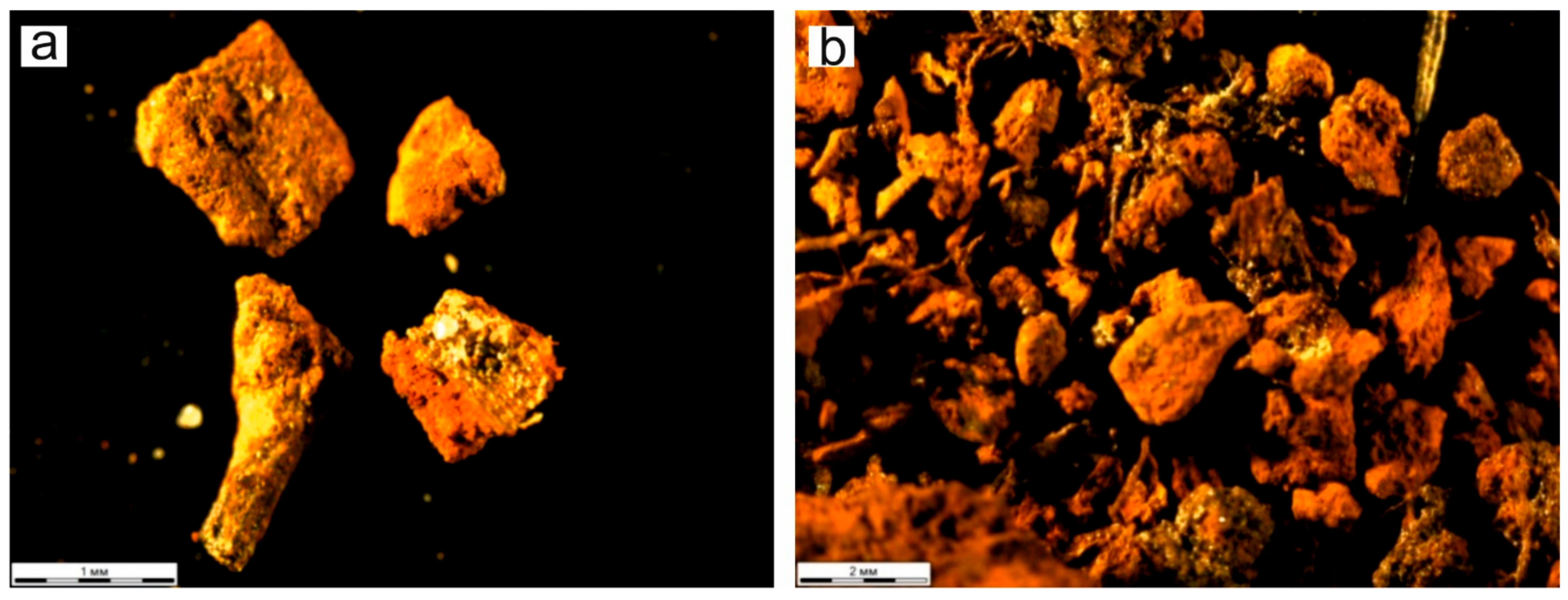Forests 12 00321 g010 Forests 12 00321 g010