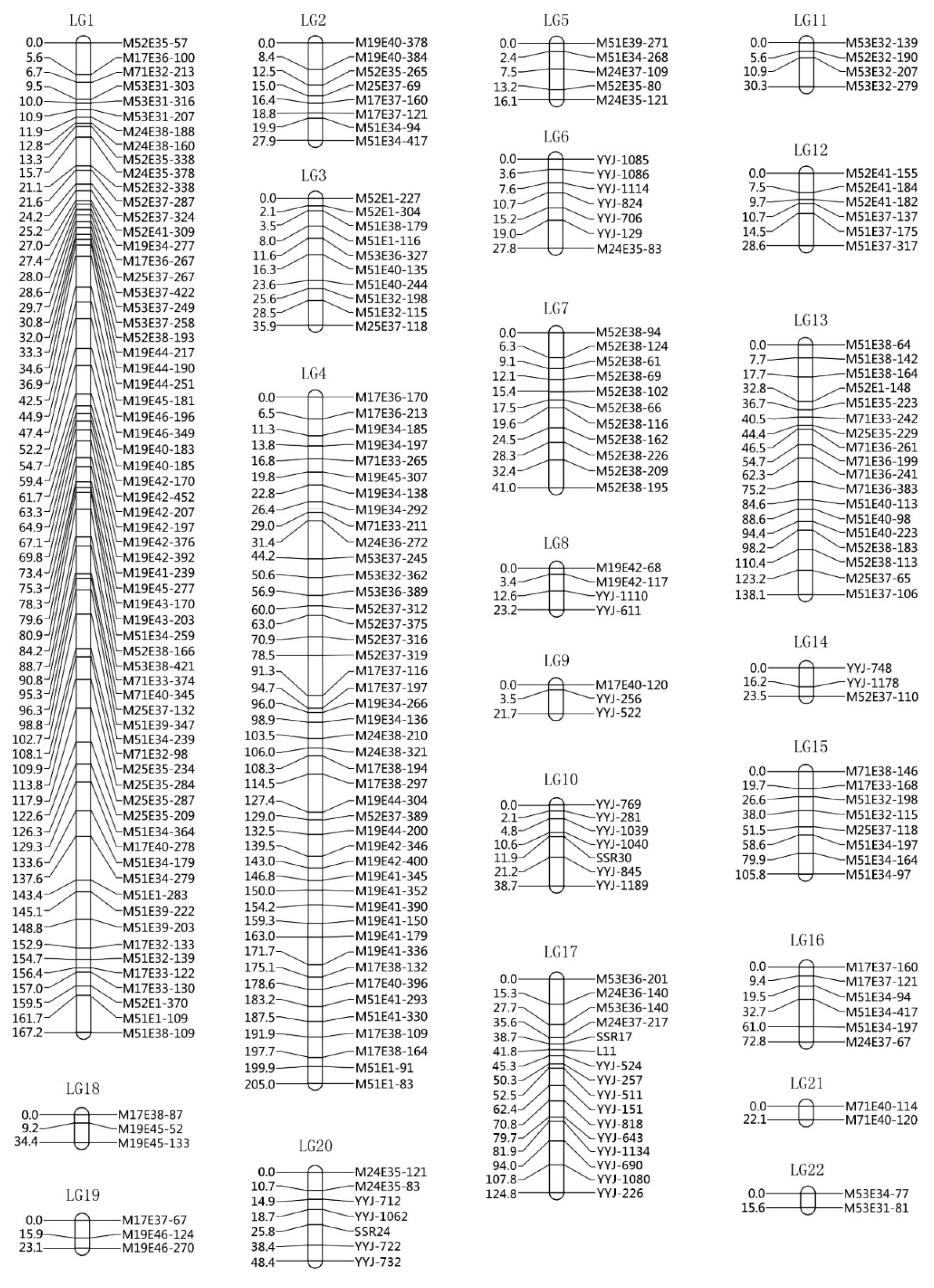 Forests 12 00322 g002 Forests 12 00322 g002