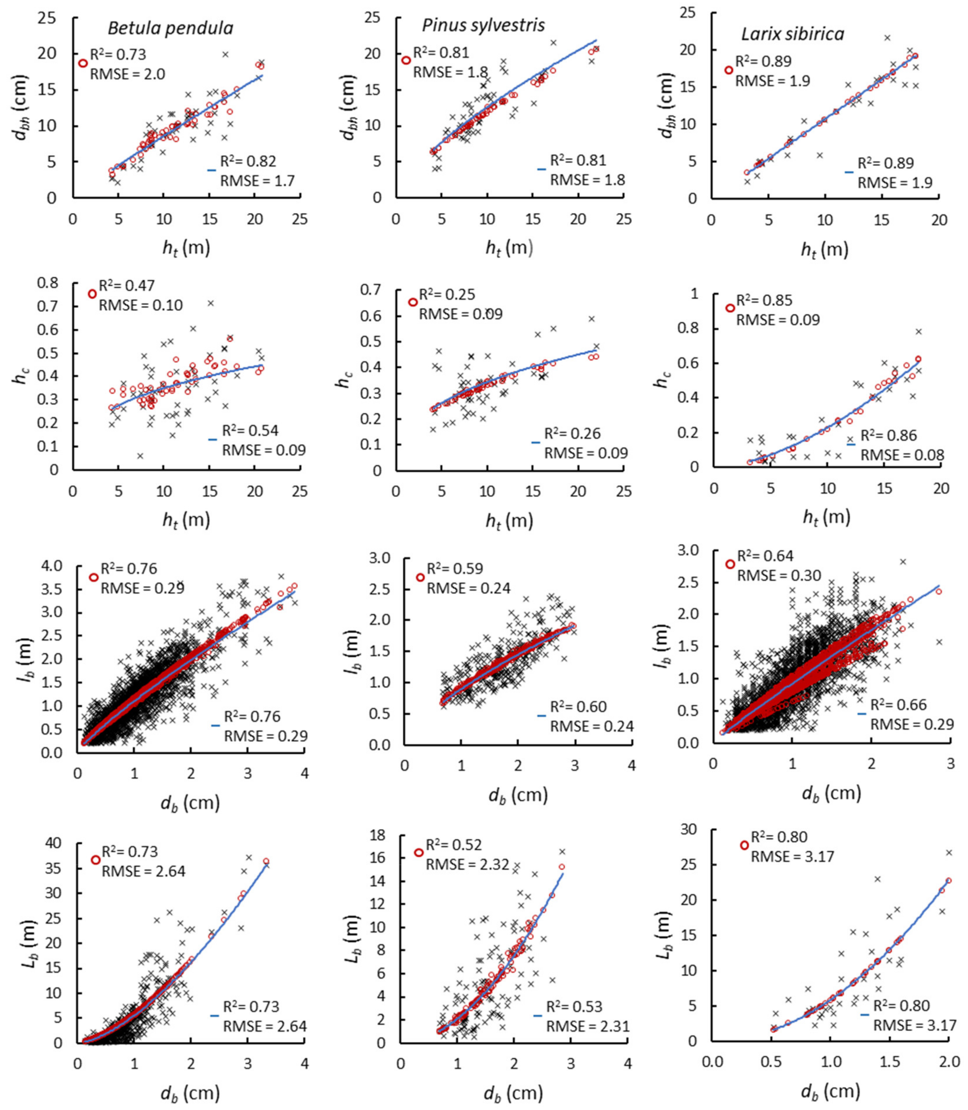 Forests 12 00324 g001