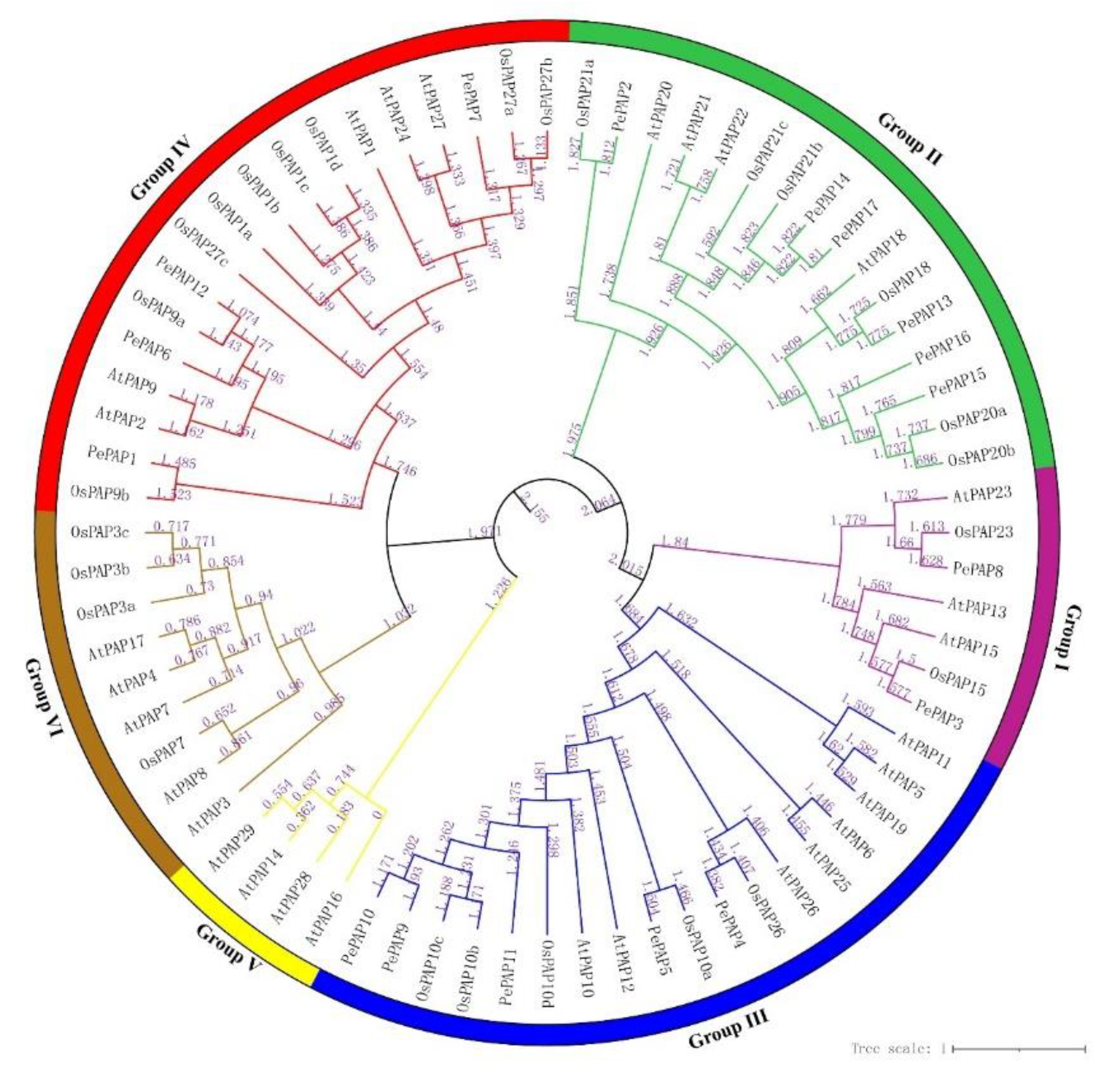 Forests 12 00326 g004 Forests 12 00326 g004