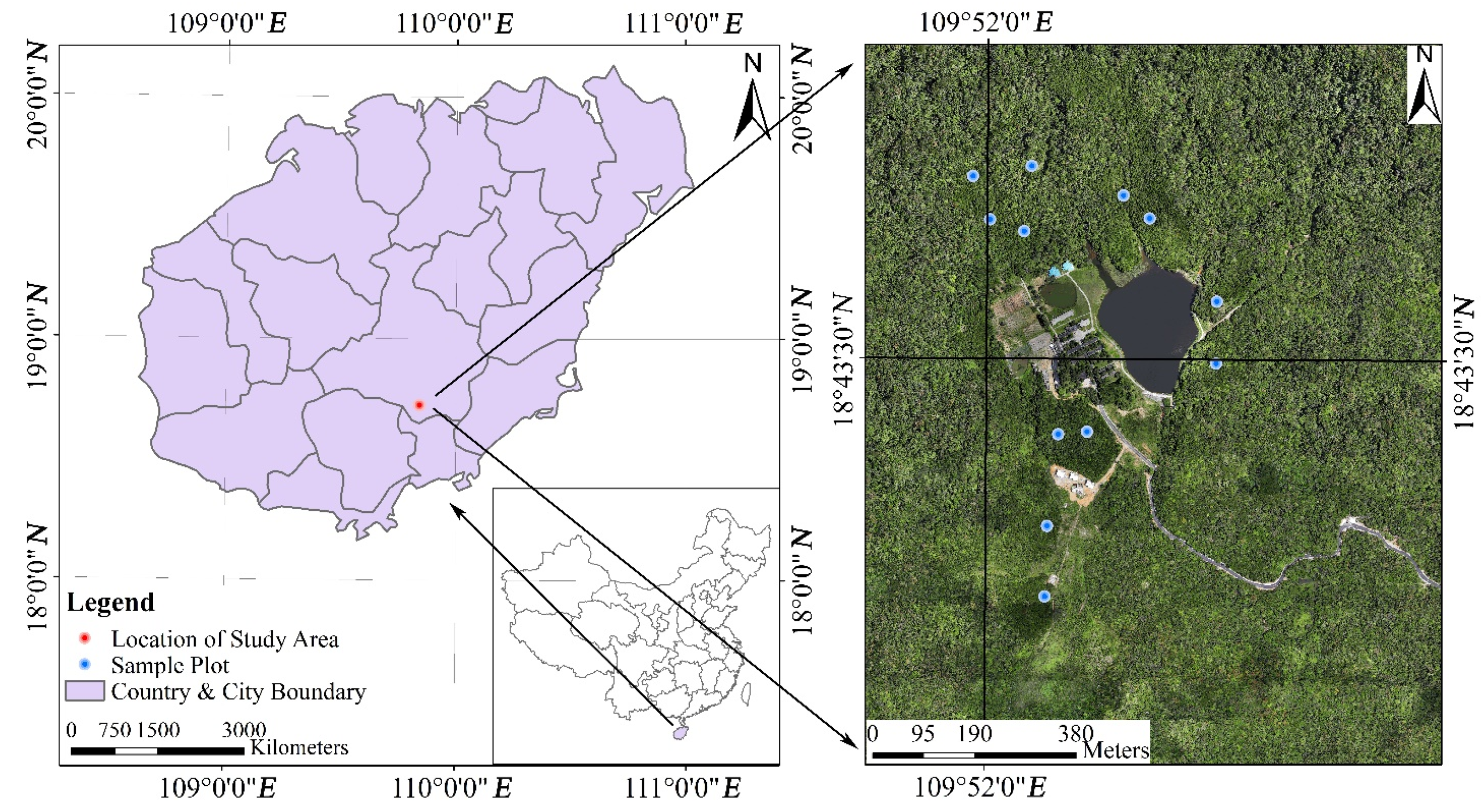 Forests 12 00328 g001