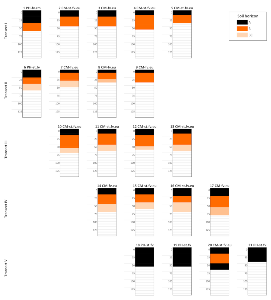 Forests 12 00329 g007