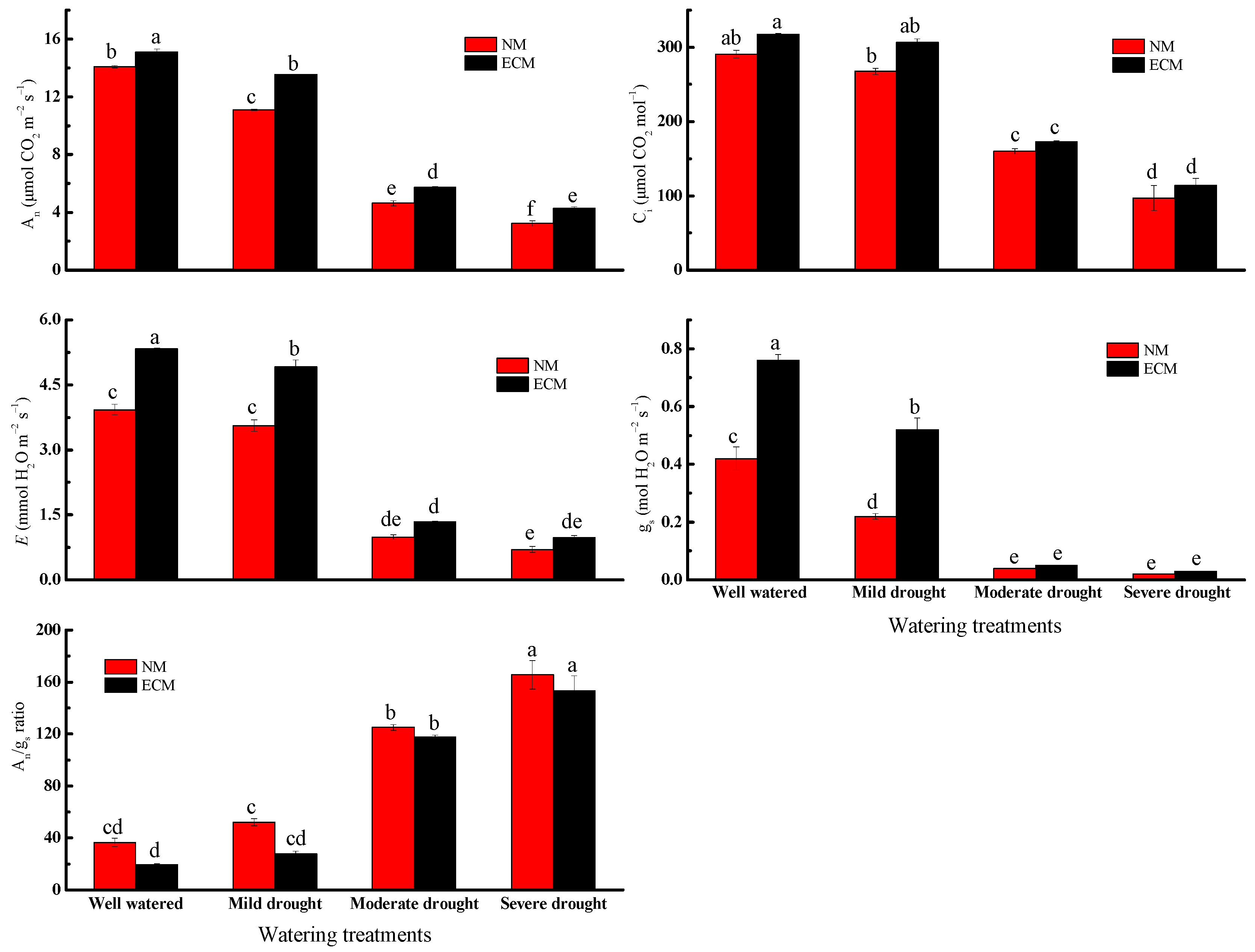 Forests 12 00332 g002 Forests 12 00332 g002