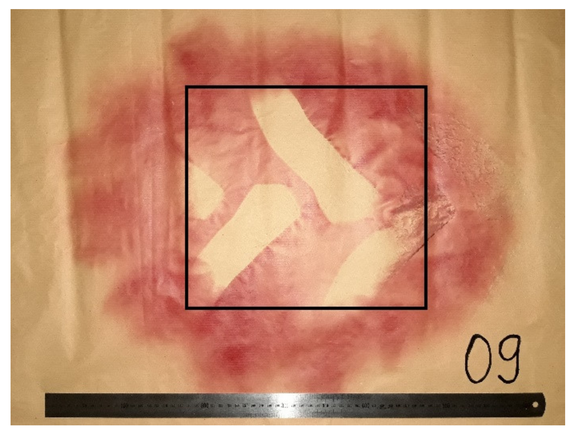 Forests 12 00336 g002