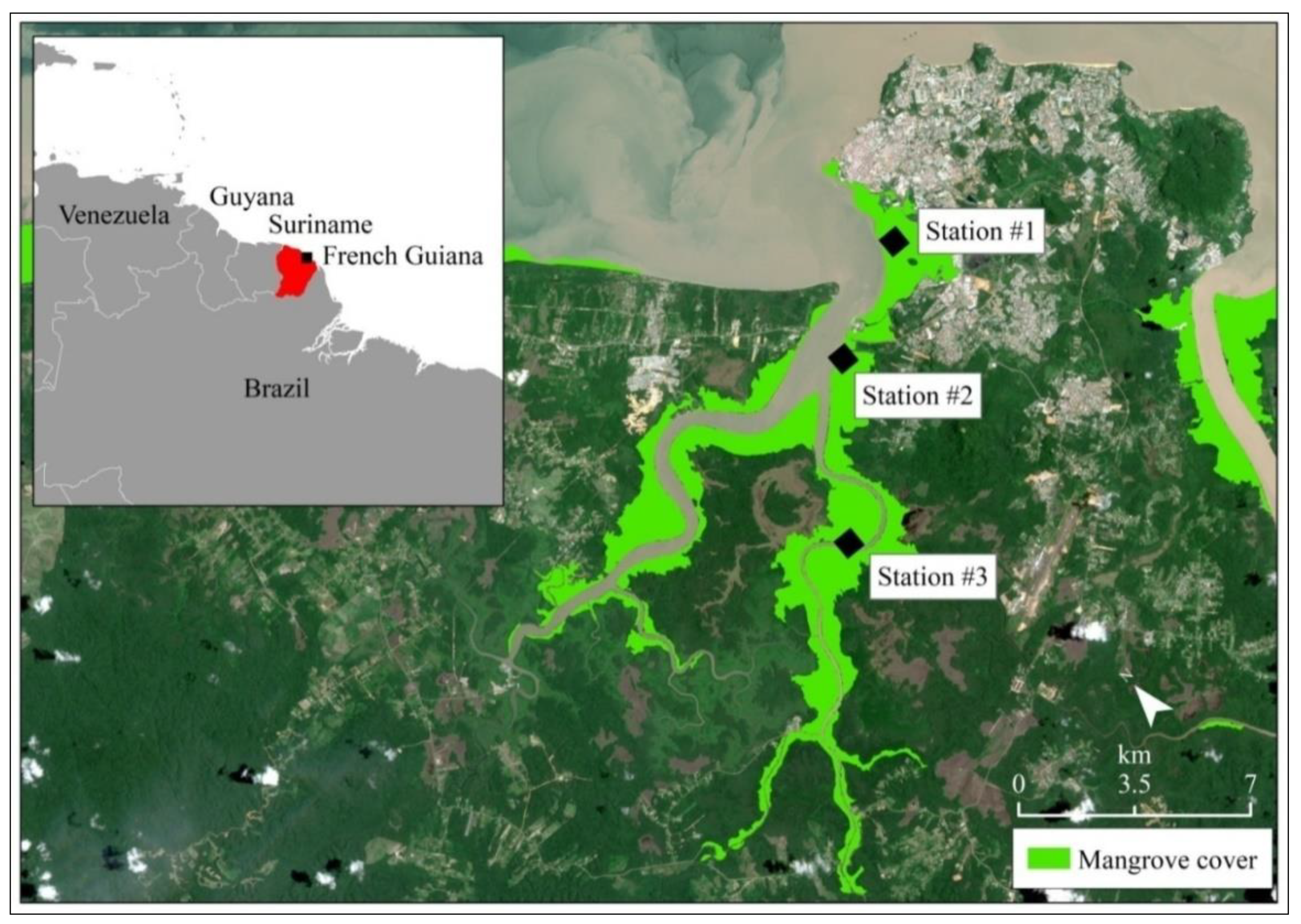Forests 12 00338 g001 Forests 12 00338 g001