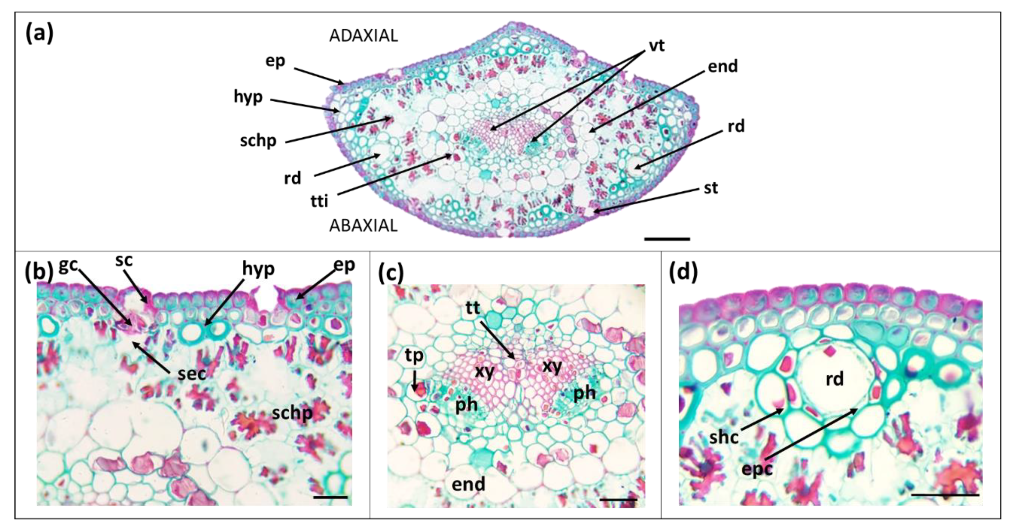 Forests 12 00341 g003 Forests 12 00341 g003