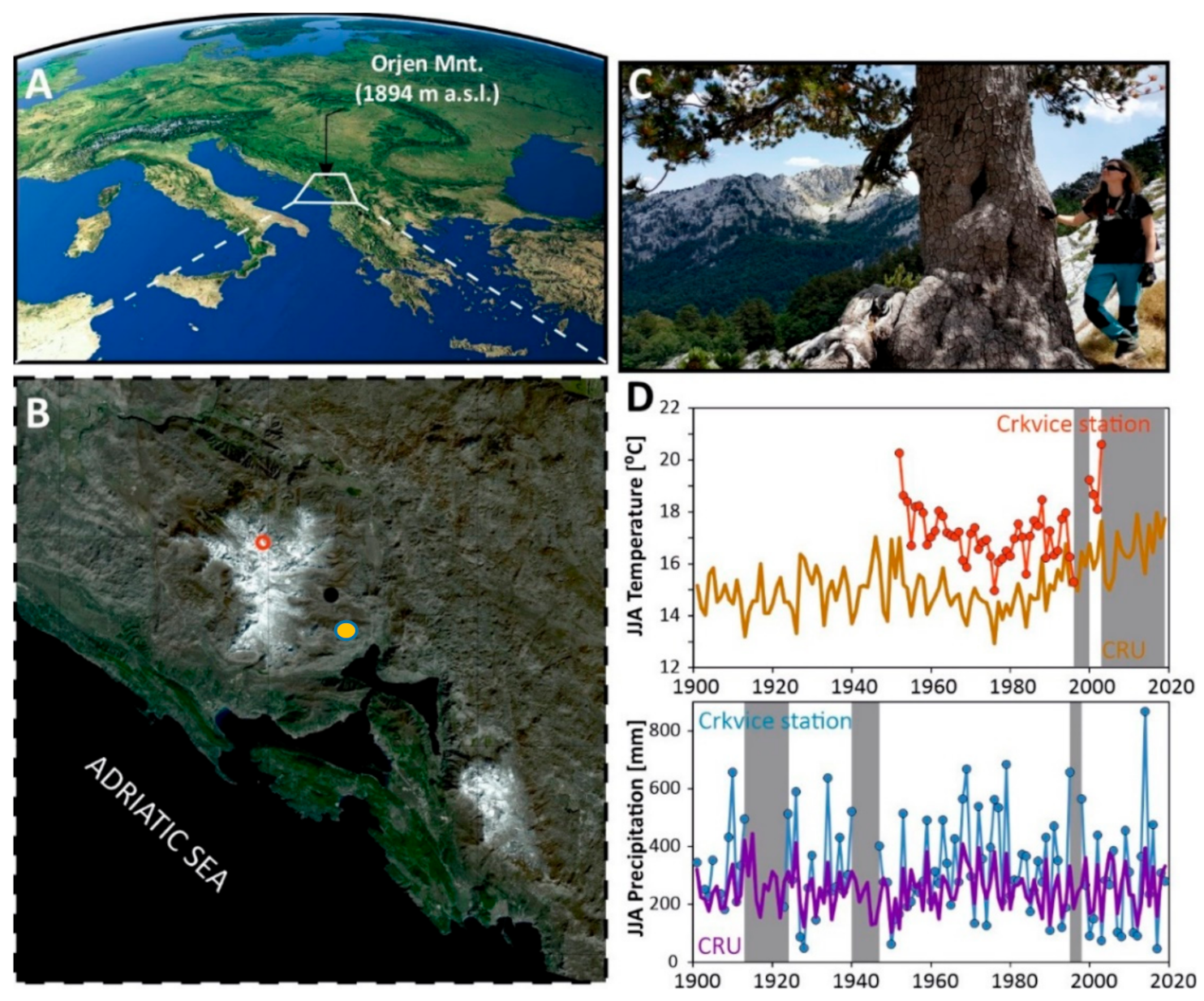 Forests 12 00350 g001