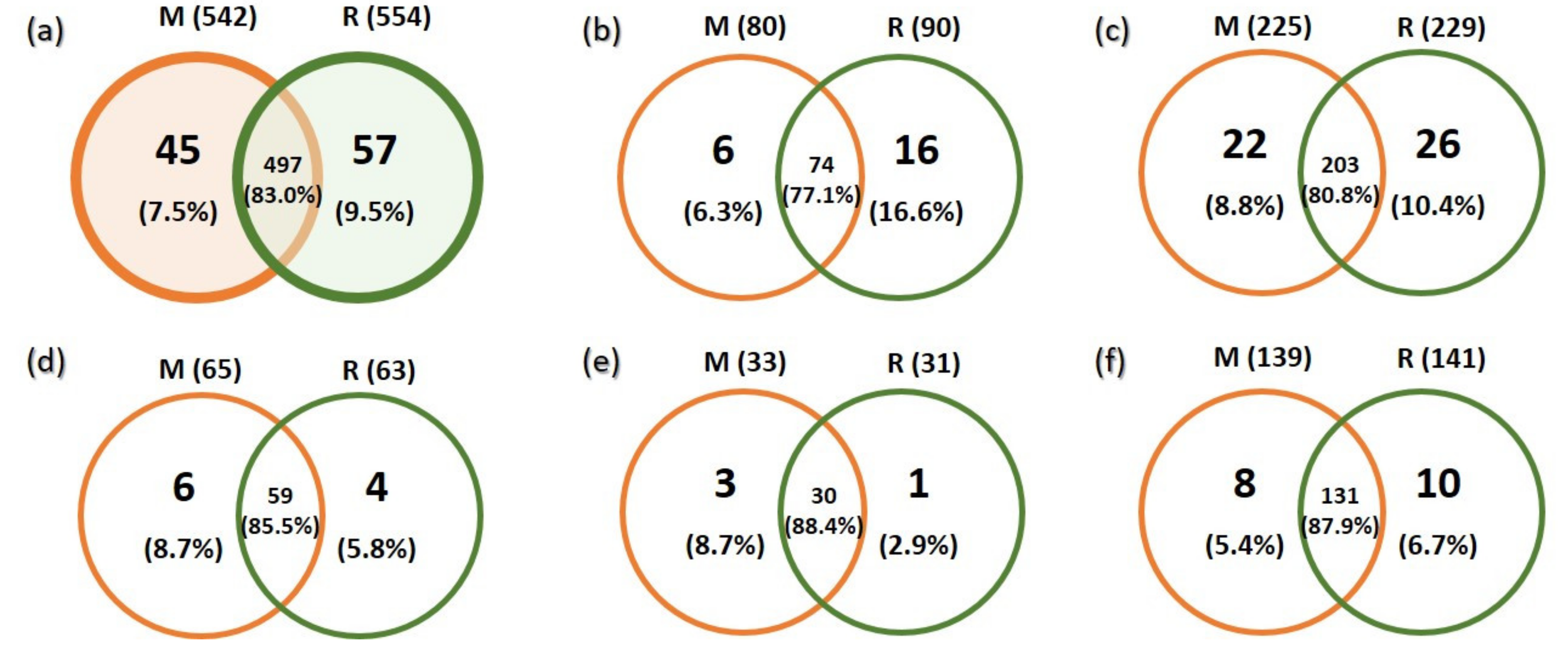 Forests 12 00353 g001 Forests 12 00353 g001