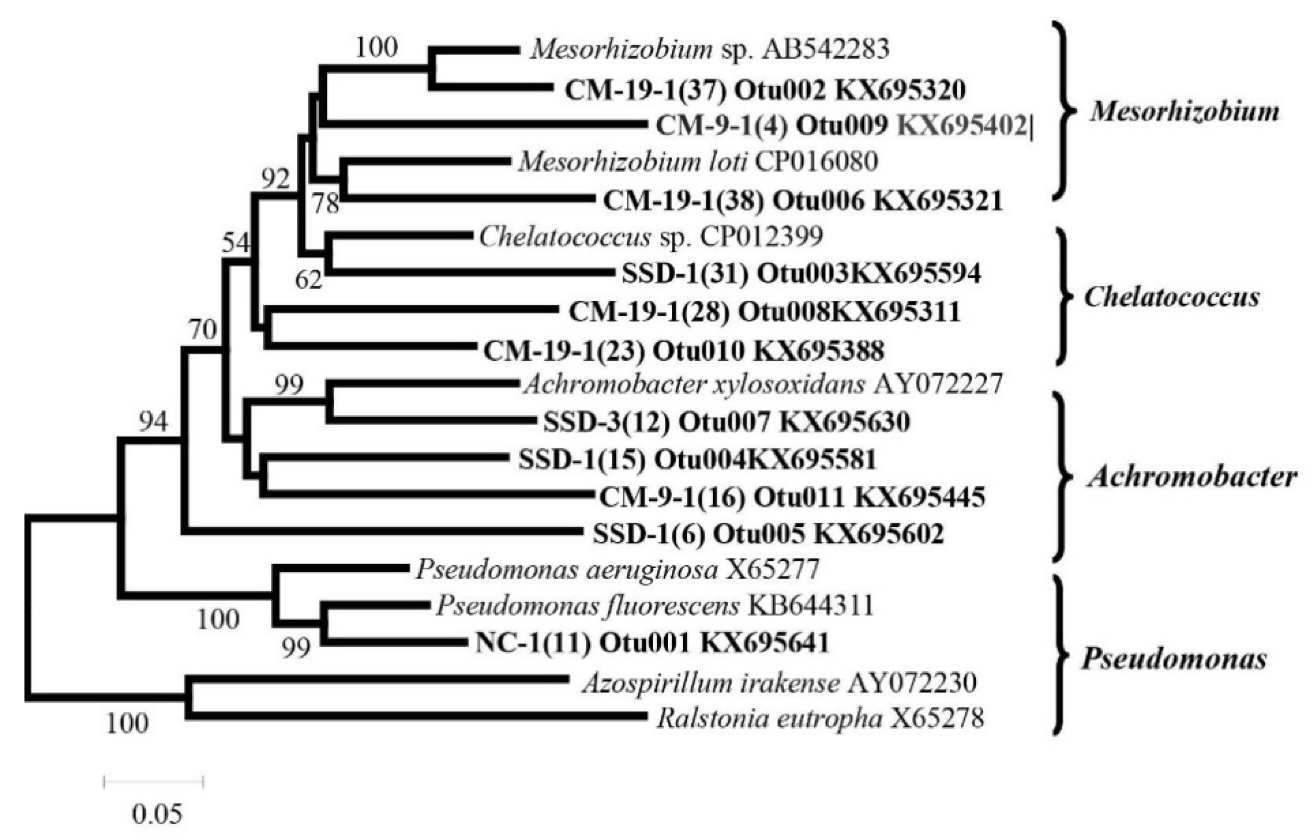 Forests 12 00354 g002 Forests 12 00354 g002