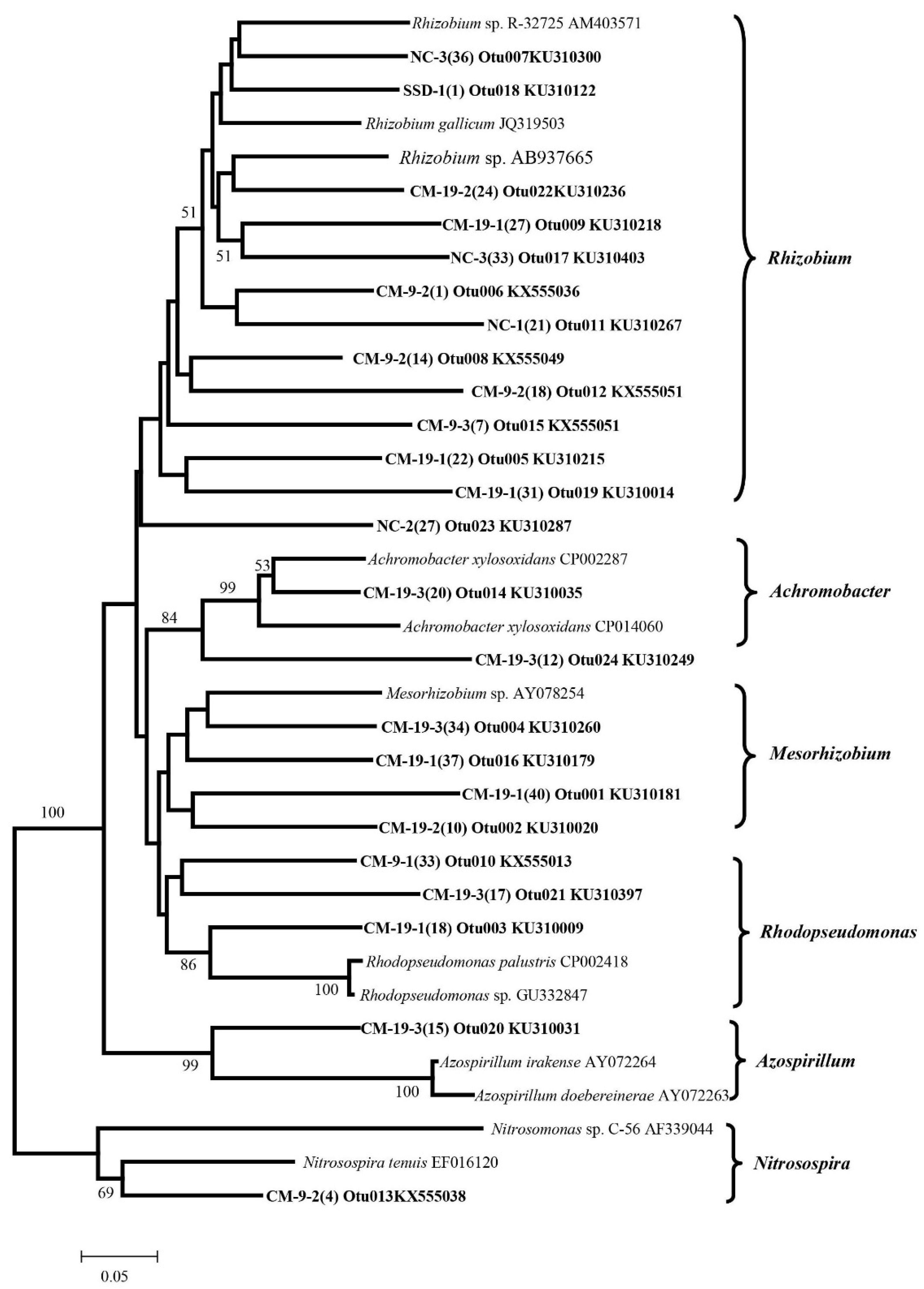 Forests 12 00354 g004 Forests 12 00354 g004