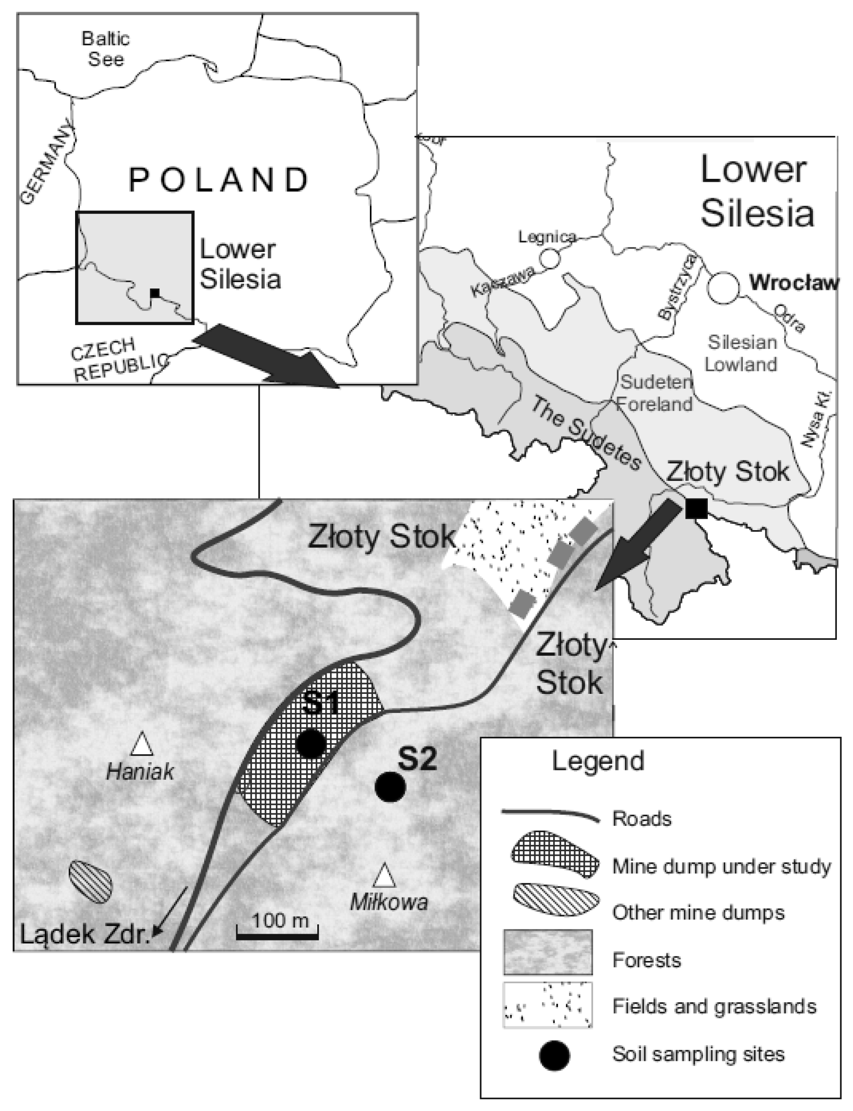Forests 12 00355 g001 Forests 12 00355 g001