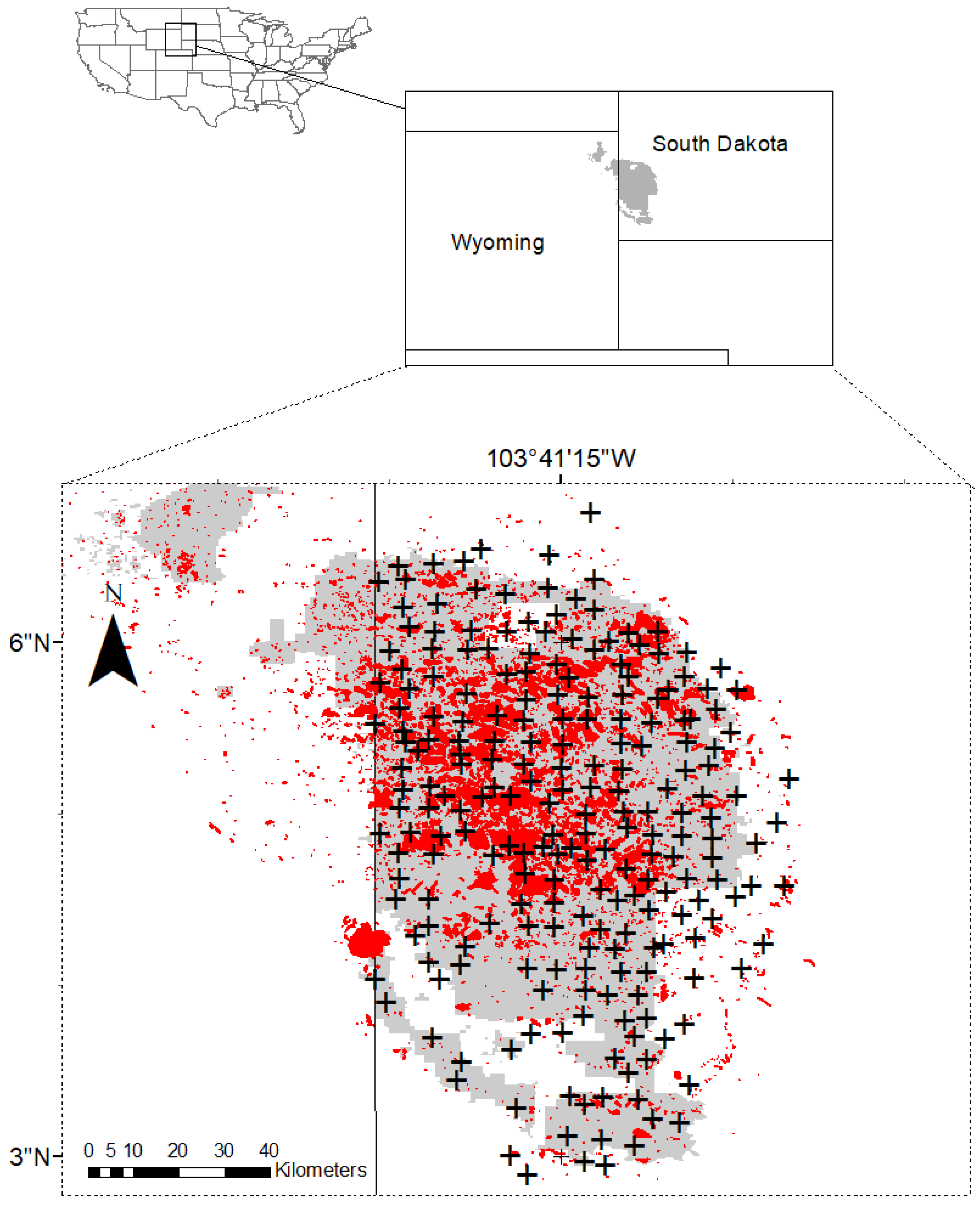 Forests 12 00360 g001