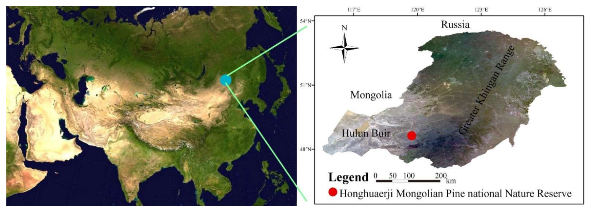 Forests 12 00365 g001