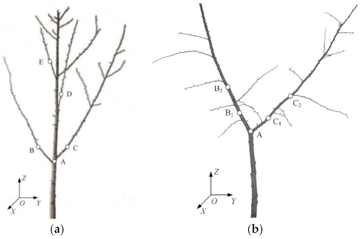Forests 12 00366 g002