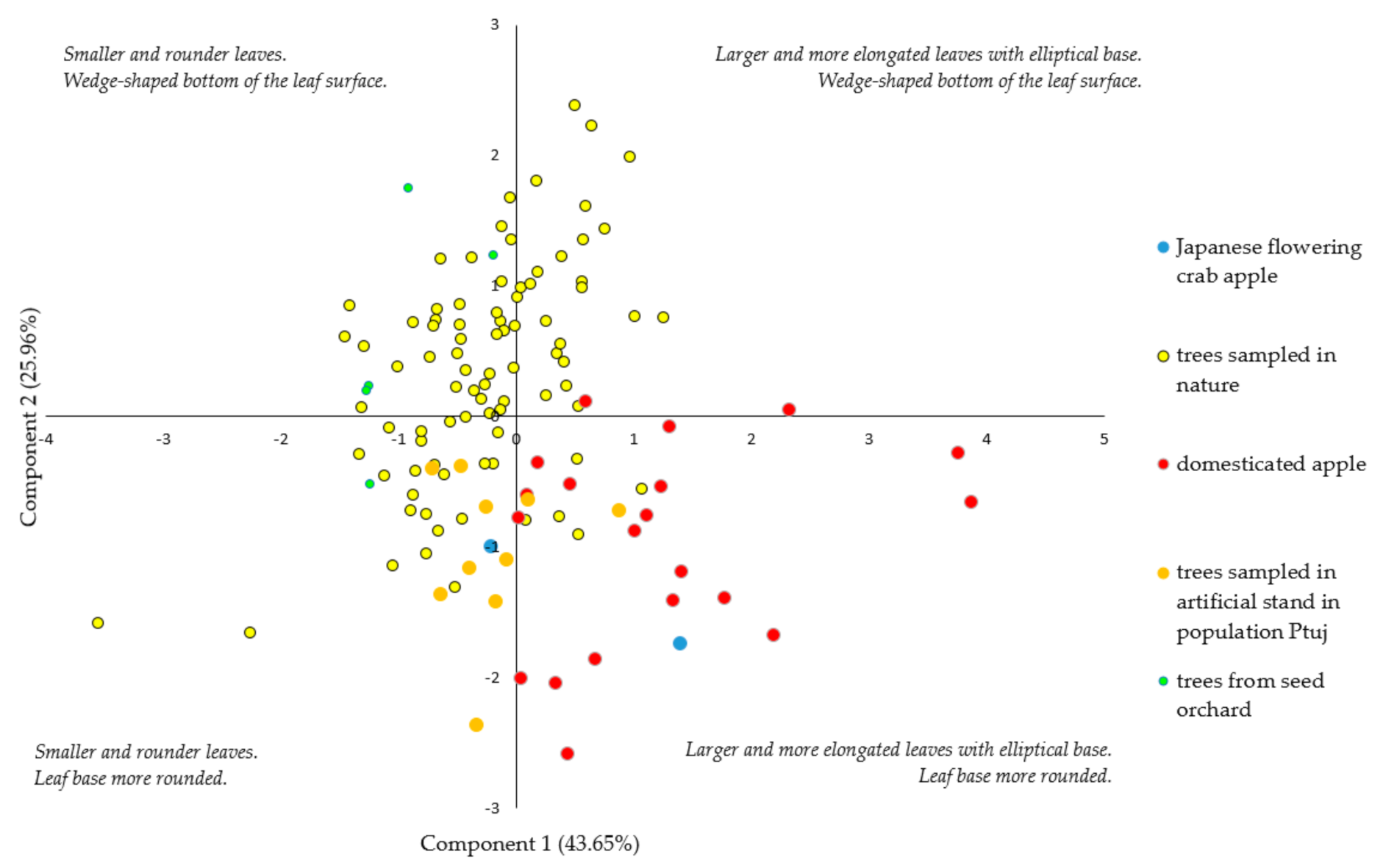Forests 12 00367 g002